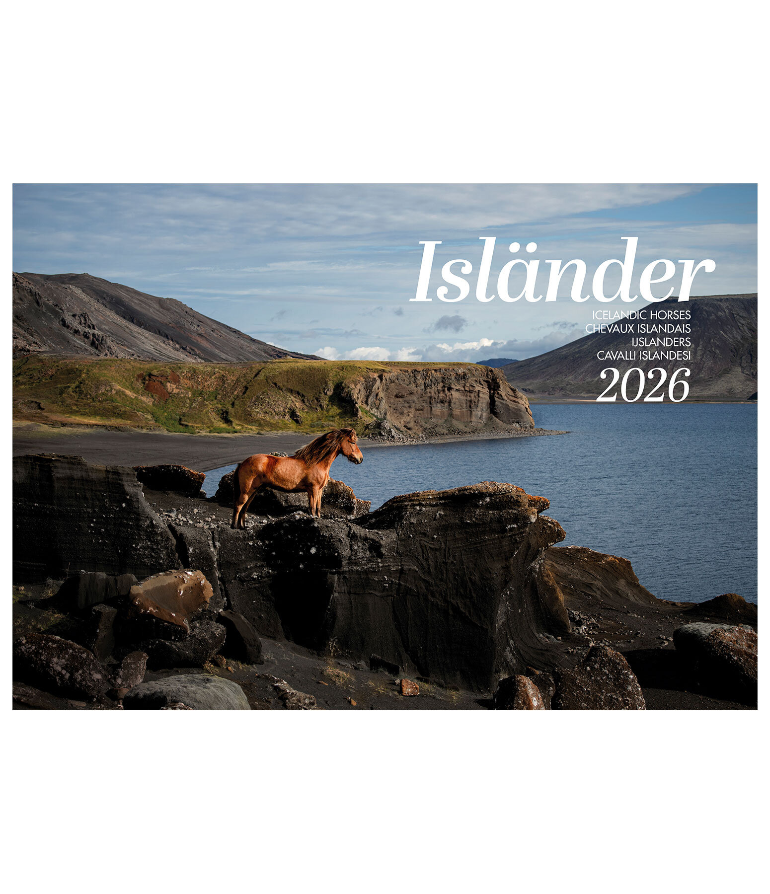 Calendario 2026 cavalli islandesi