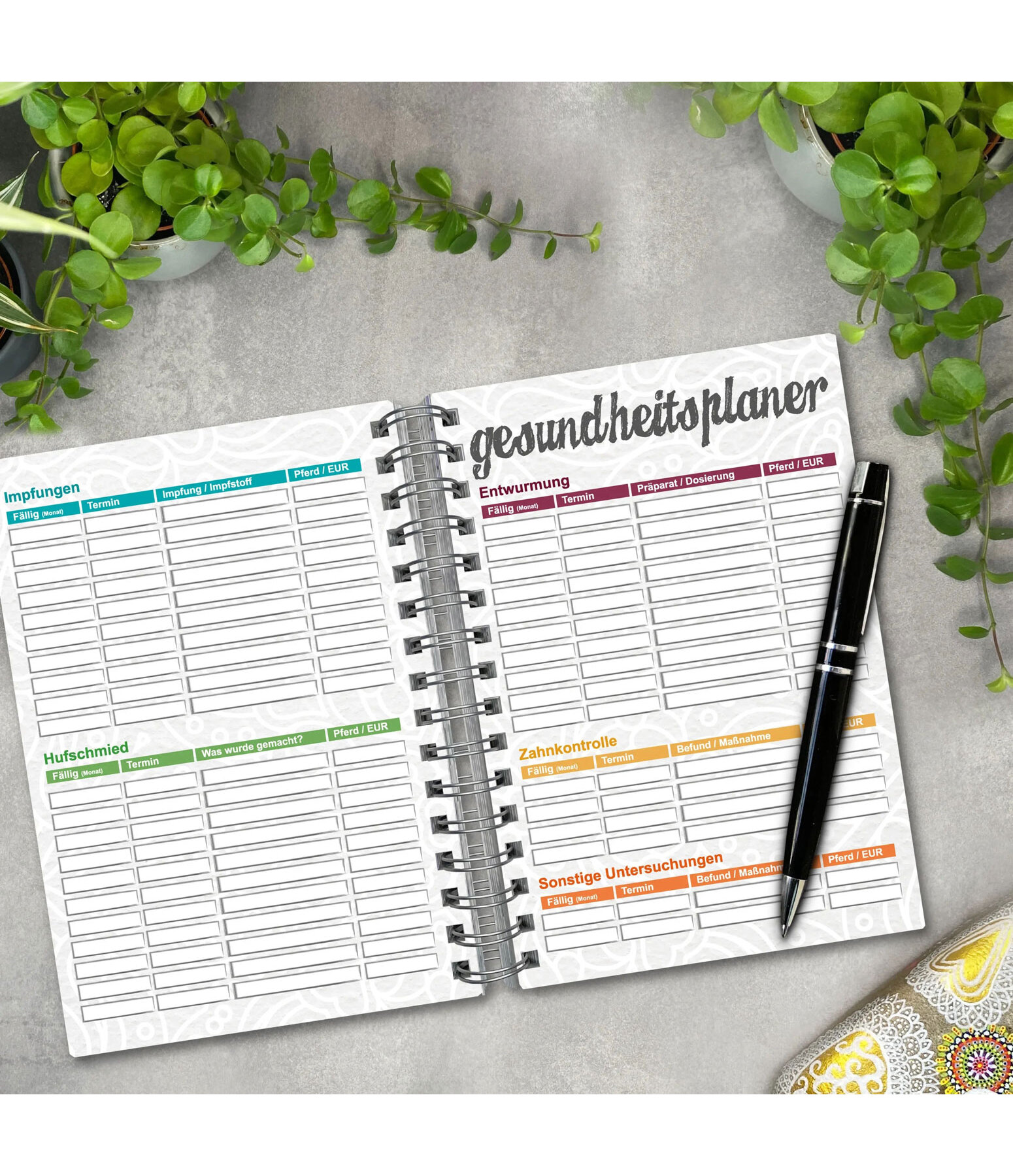 Reitertagebuch XXL - Dauerkalender