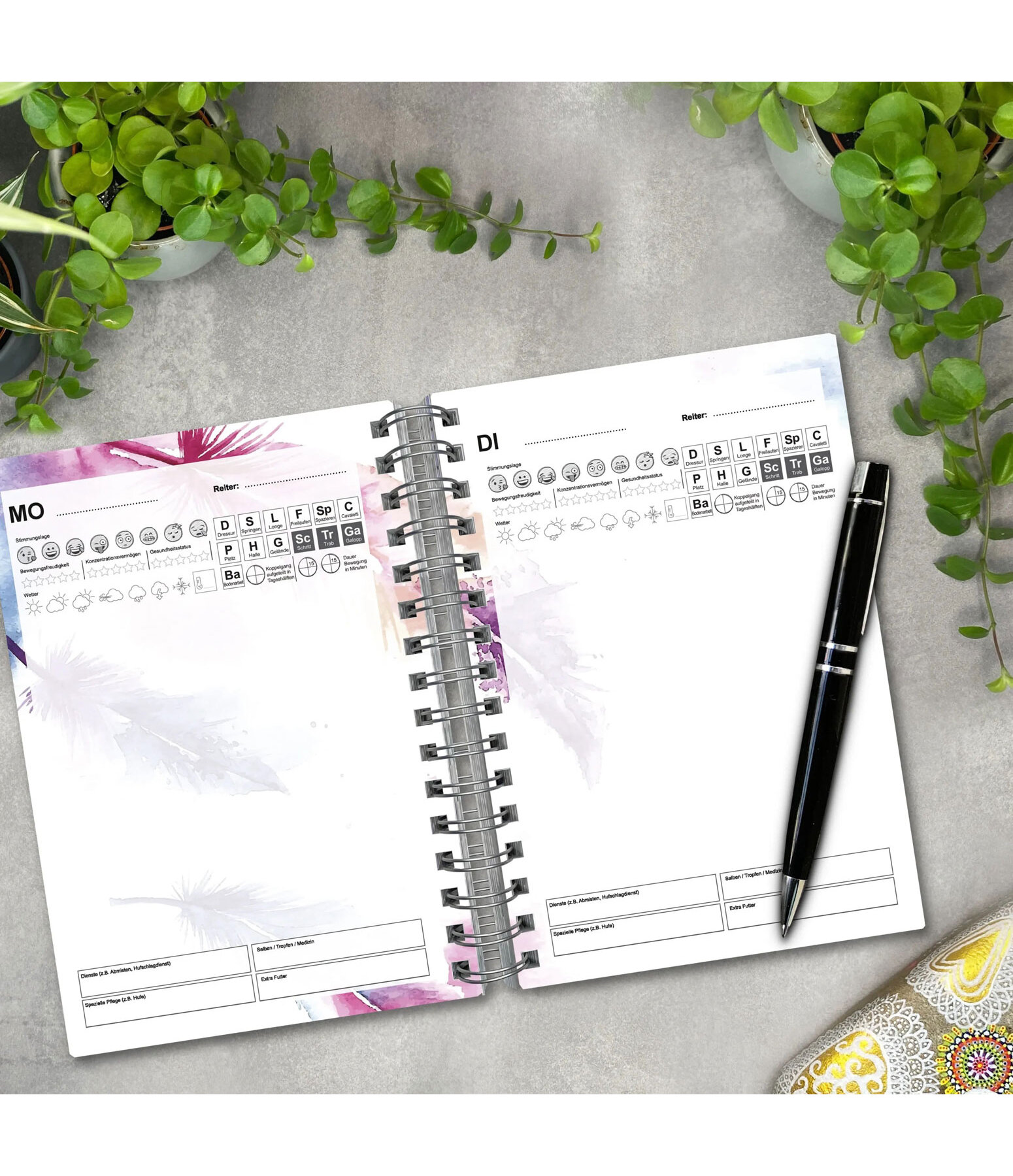 Reitertagebuch XXL - Dauerkalender