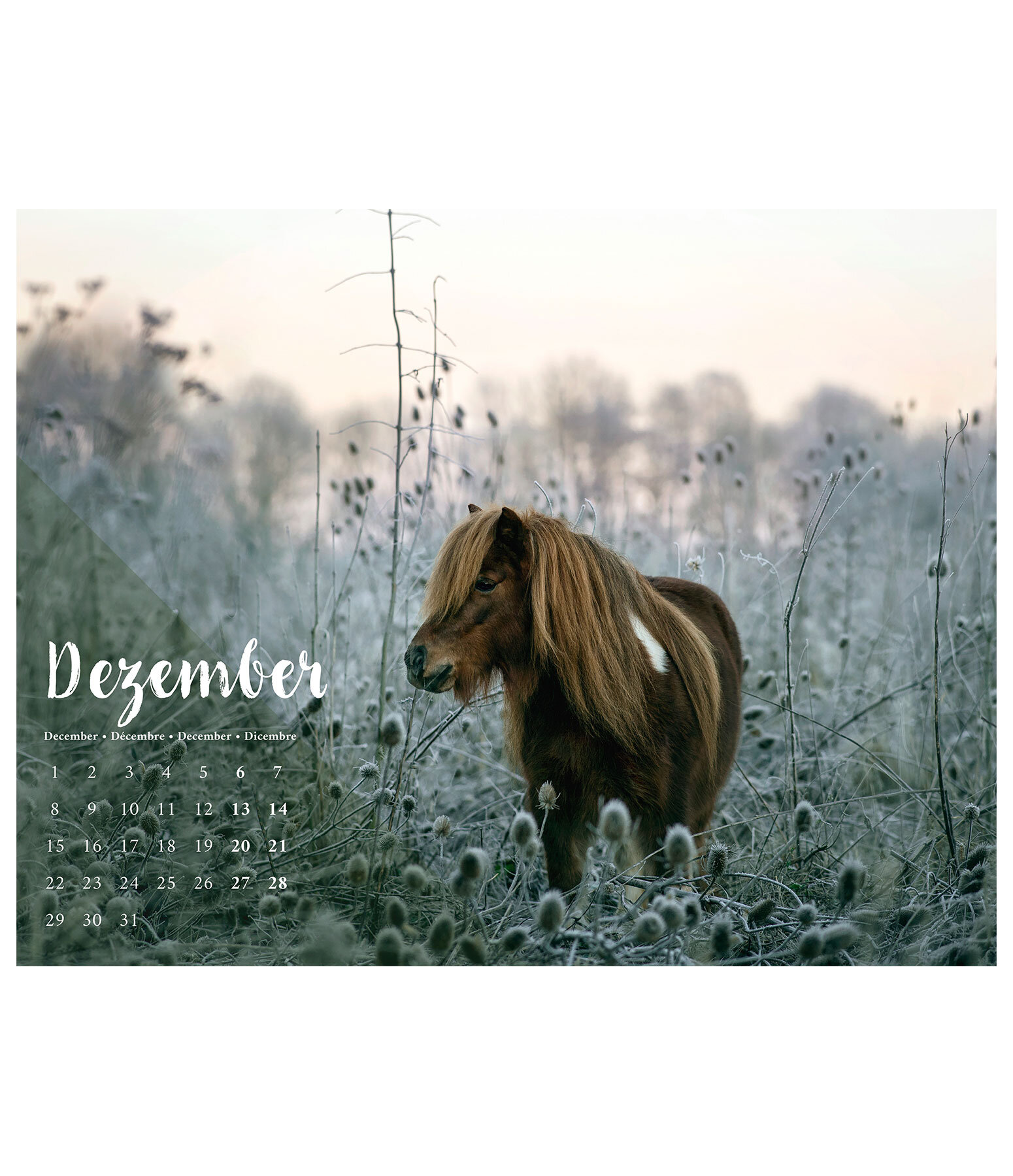 Calendario 2026  Pony