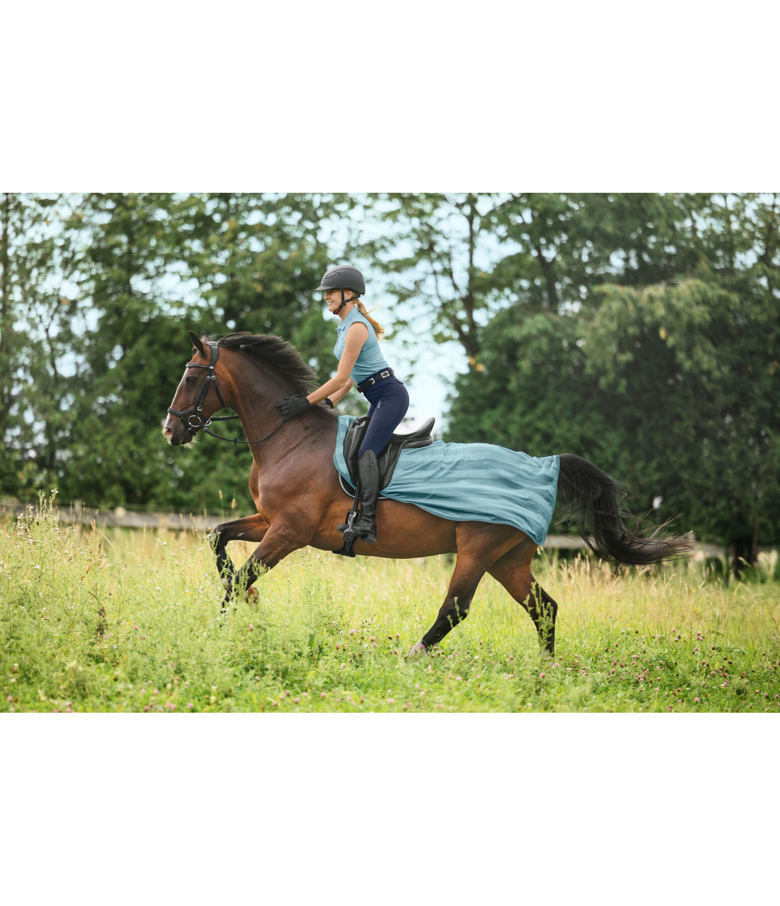 Coprireni antimosche Economy Light