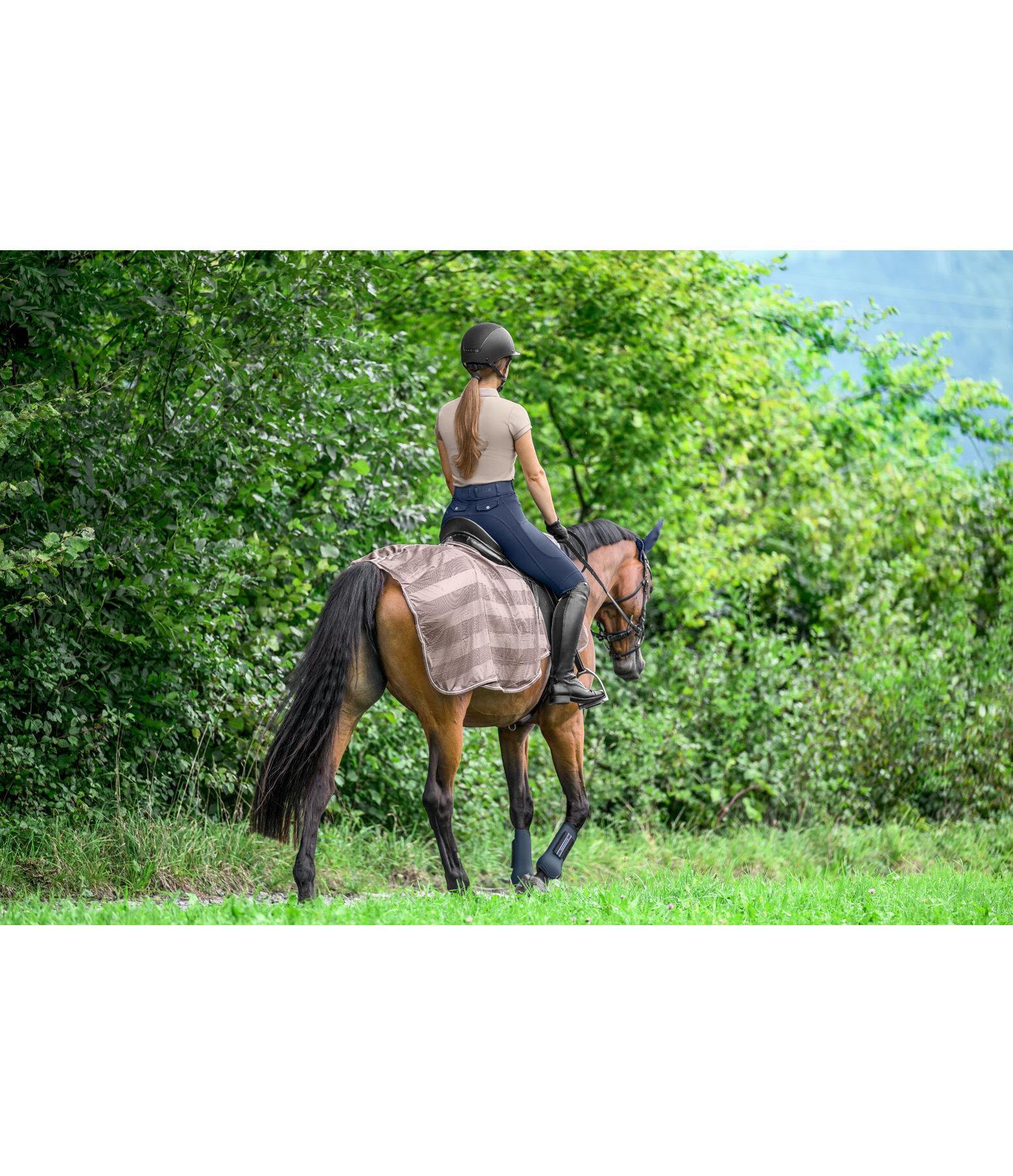 Coprireni antimosche Economy Light