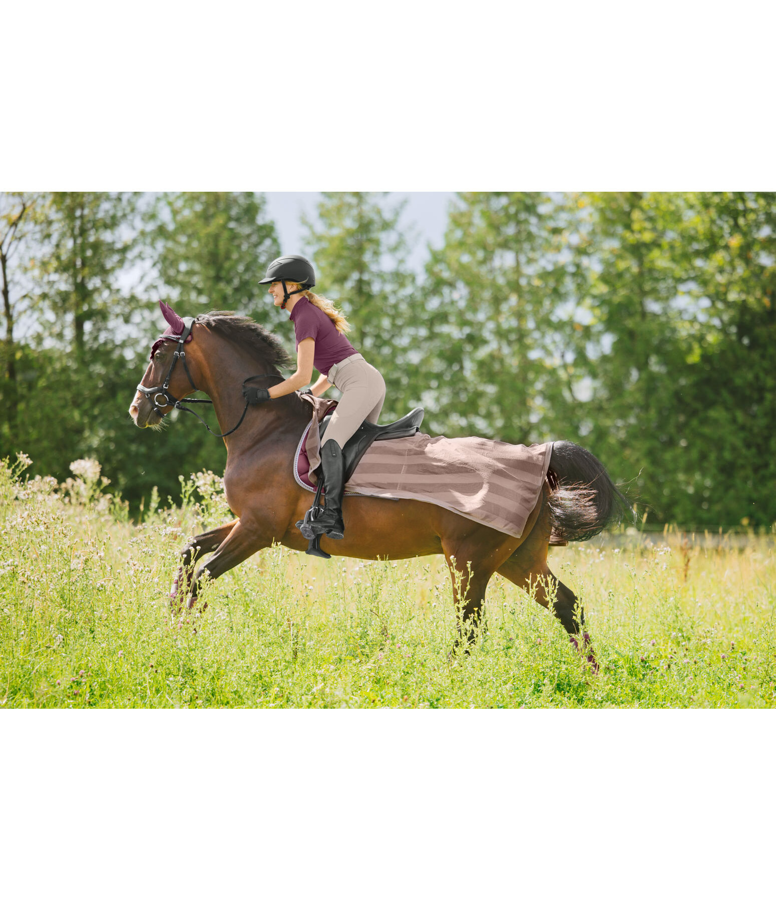 Coprireni antimosche Economy Light