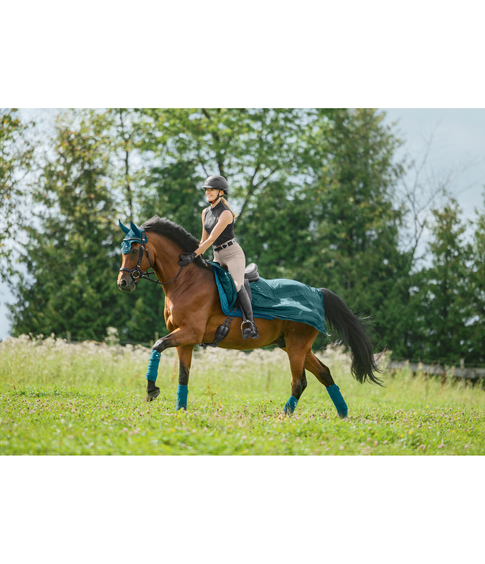 Coprireni antimosche Economy Light