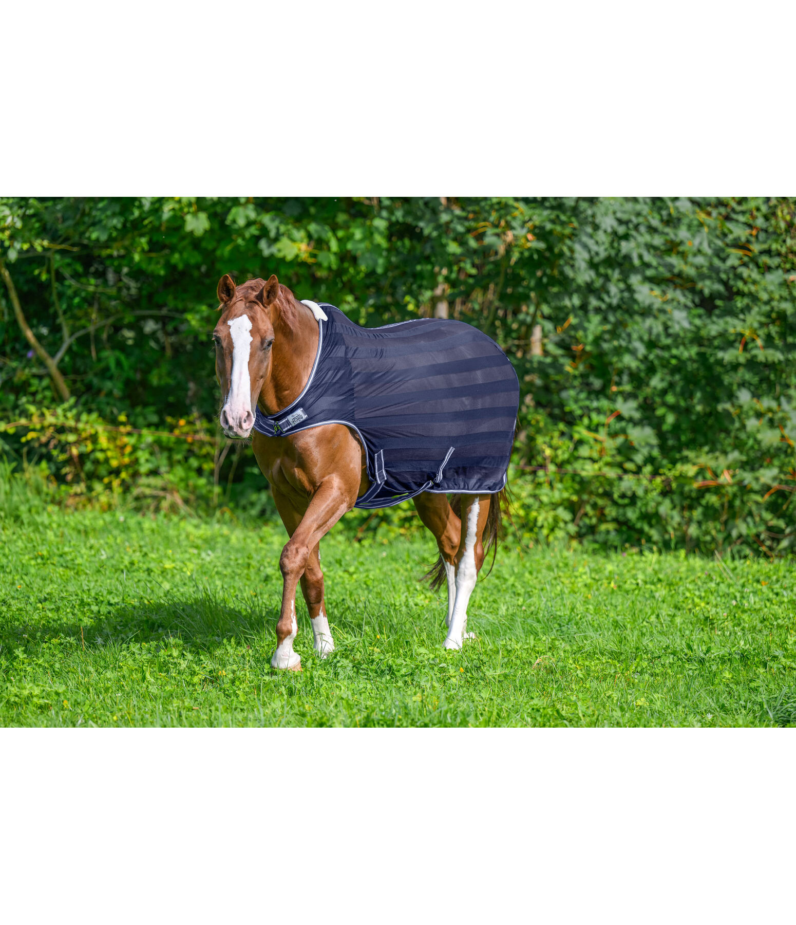 Coperta antimosche da giostra Economy Light