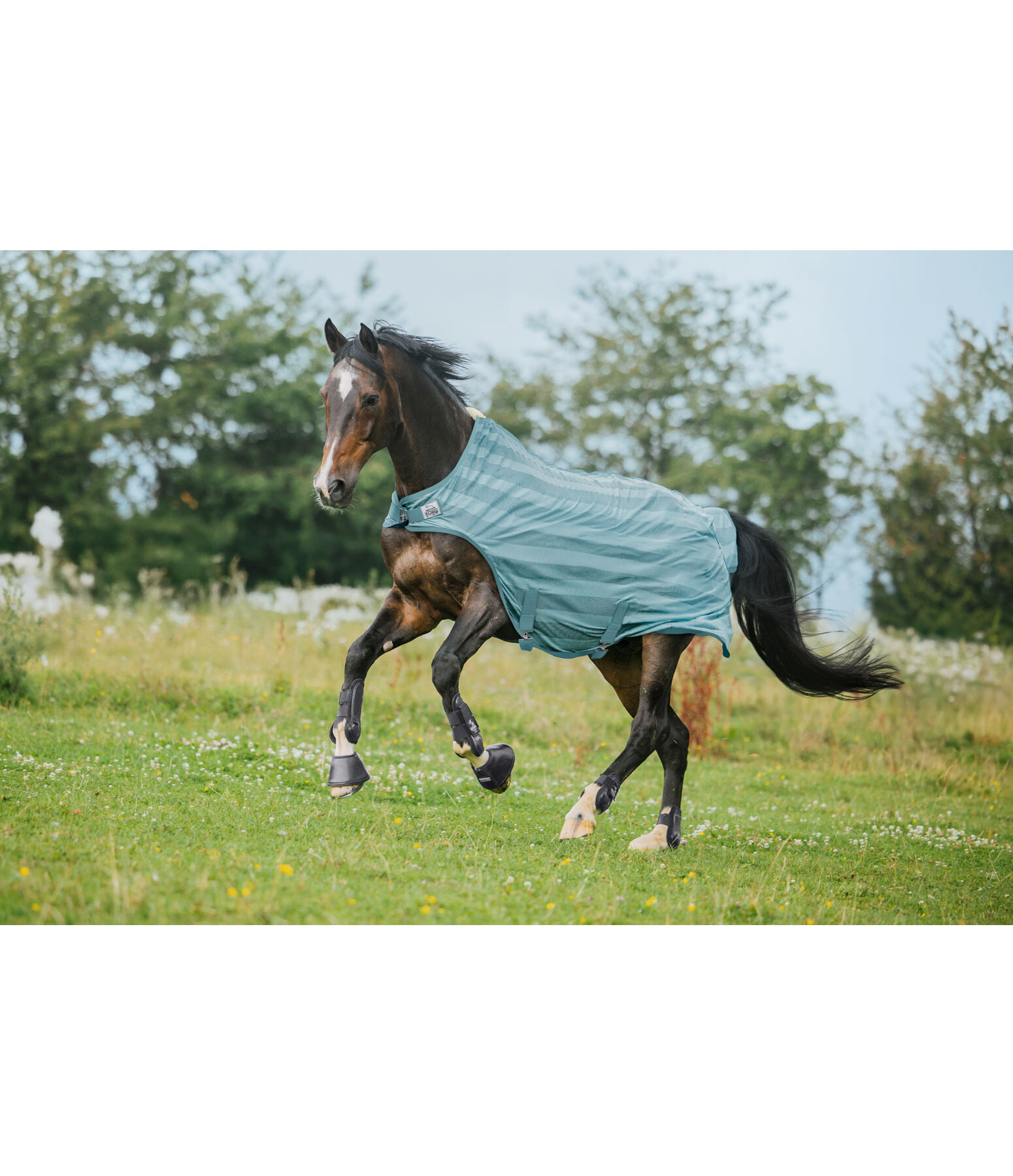 Coperta antimosche da giostra Economy Light