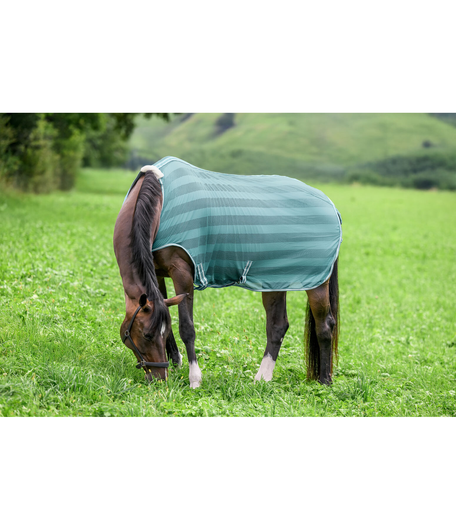 Coperta antimosche da giostra Economy Light