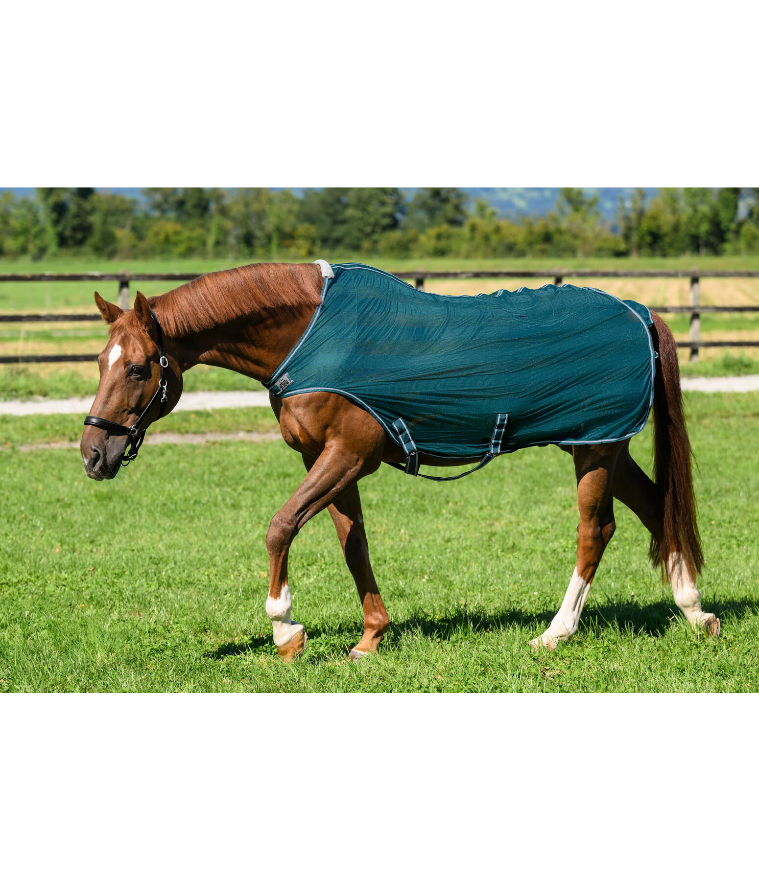 Coperta antimosche da giostra Economy Light