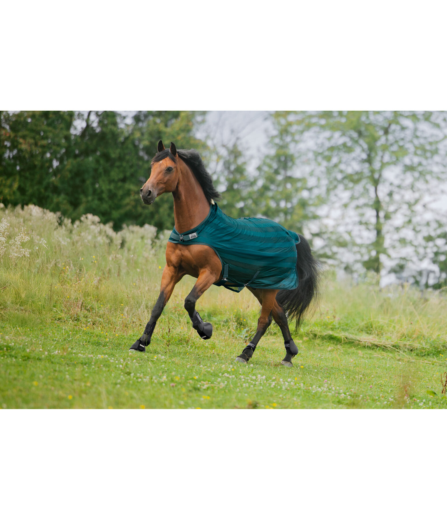 Coperta antimosche da giostra Economy Light