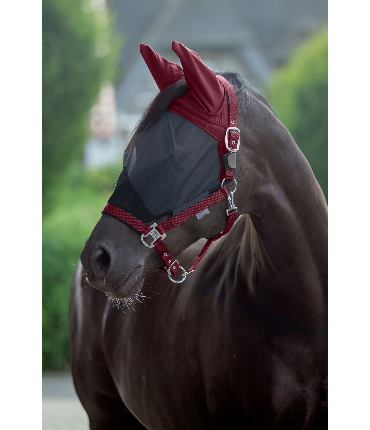 Capezza con maschera antimosche integrata All-In-One