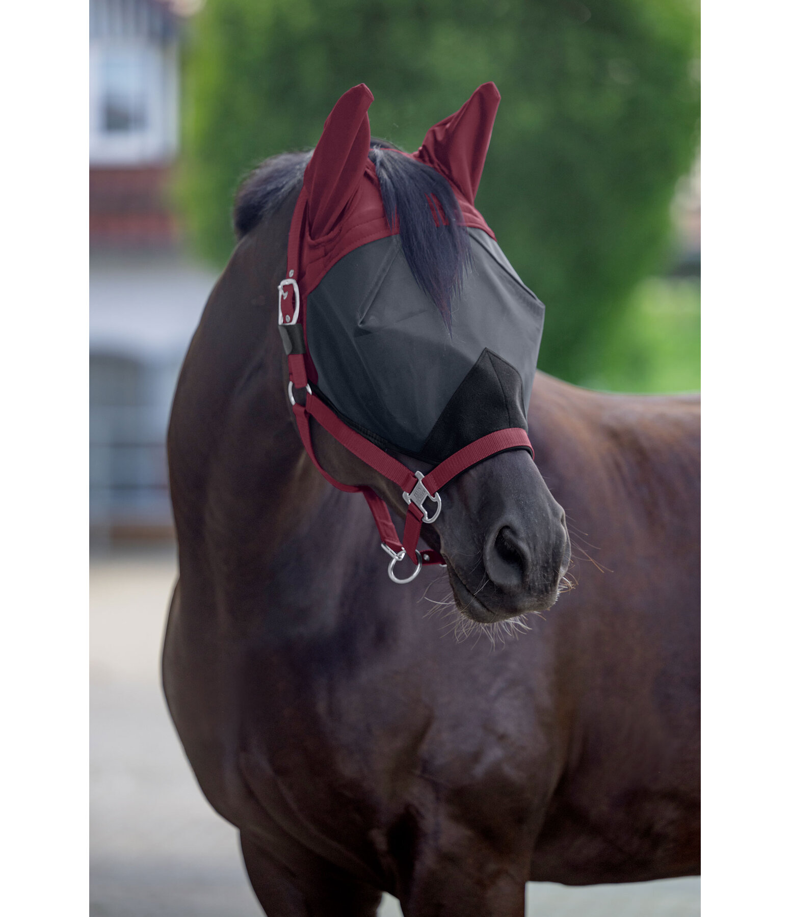 Capezza con maschera antimosche integrata All-In-One