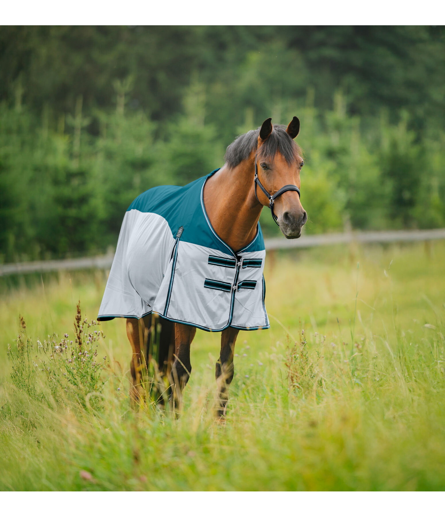 Coperta antimosche 2 in 1 Kadir Fly