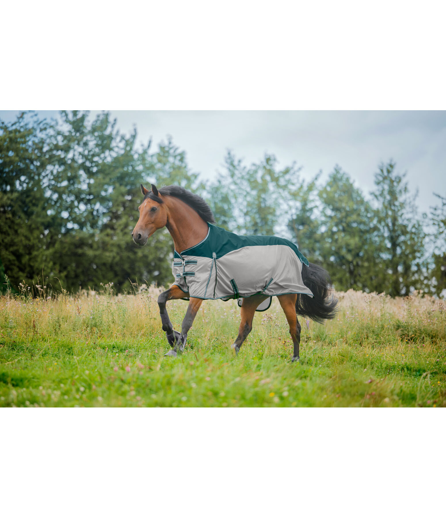Coperta antimosche 2 in 1 Kadir Fly