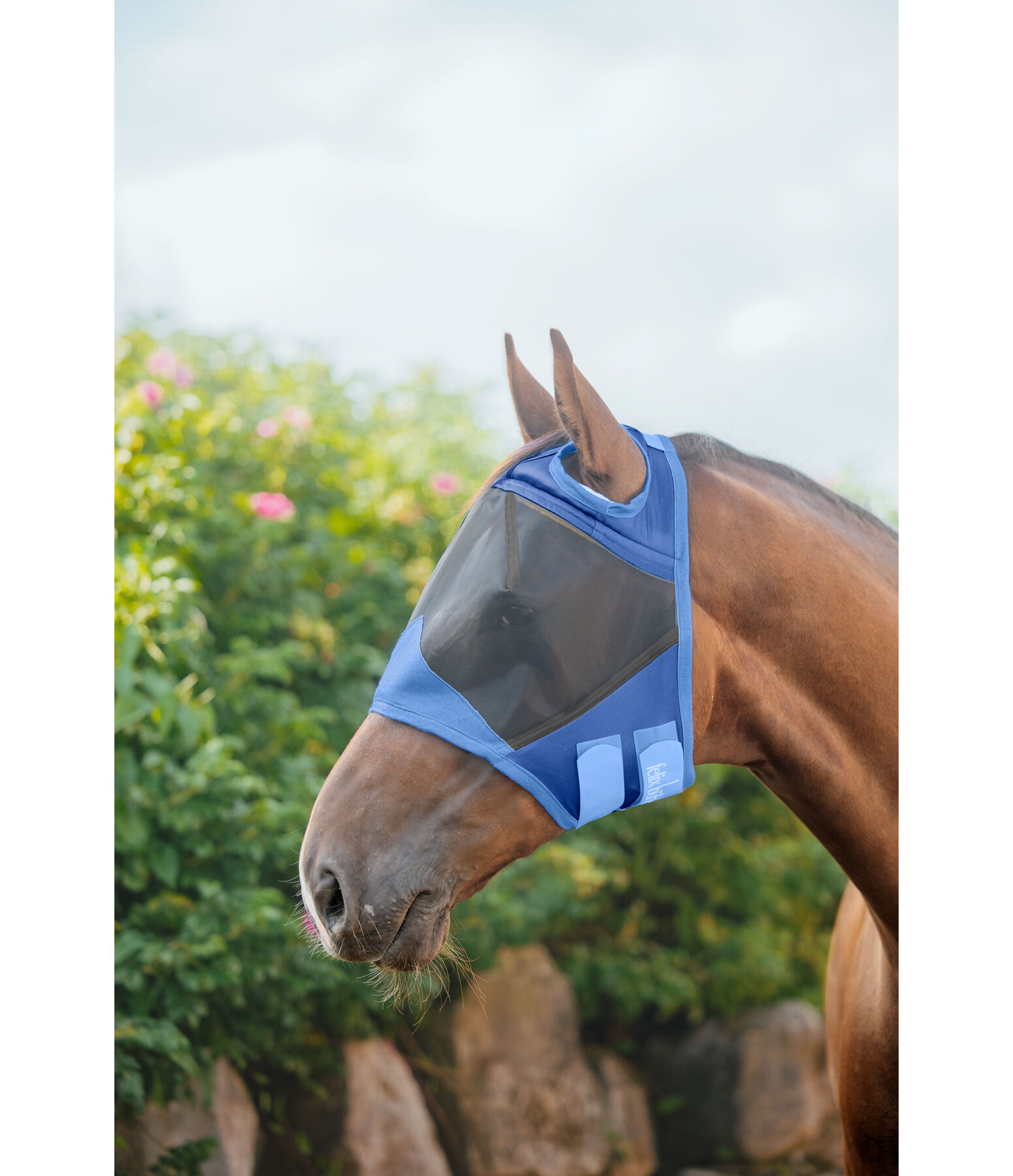 Maschera antimosche Basic Ear-Free