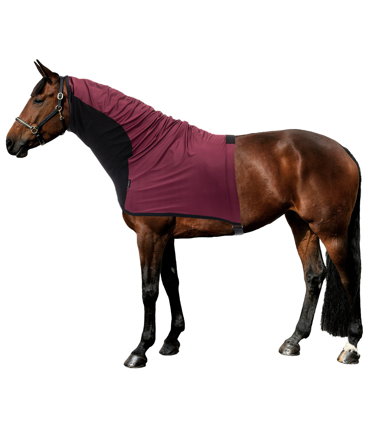 Protezione per collo antimosche & anti-eczema Stretch Comfort