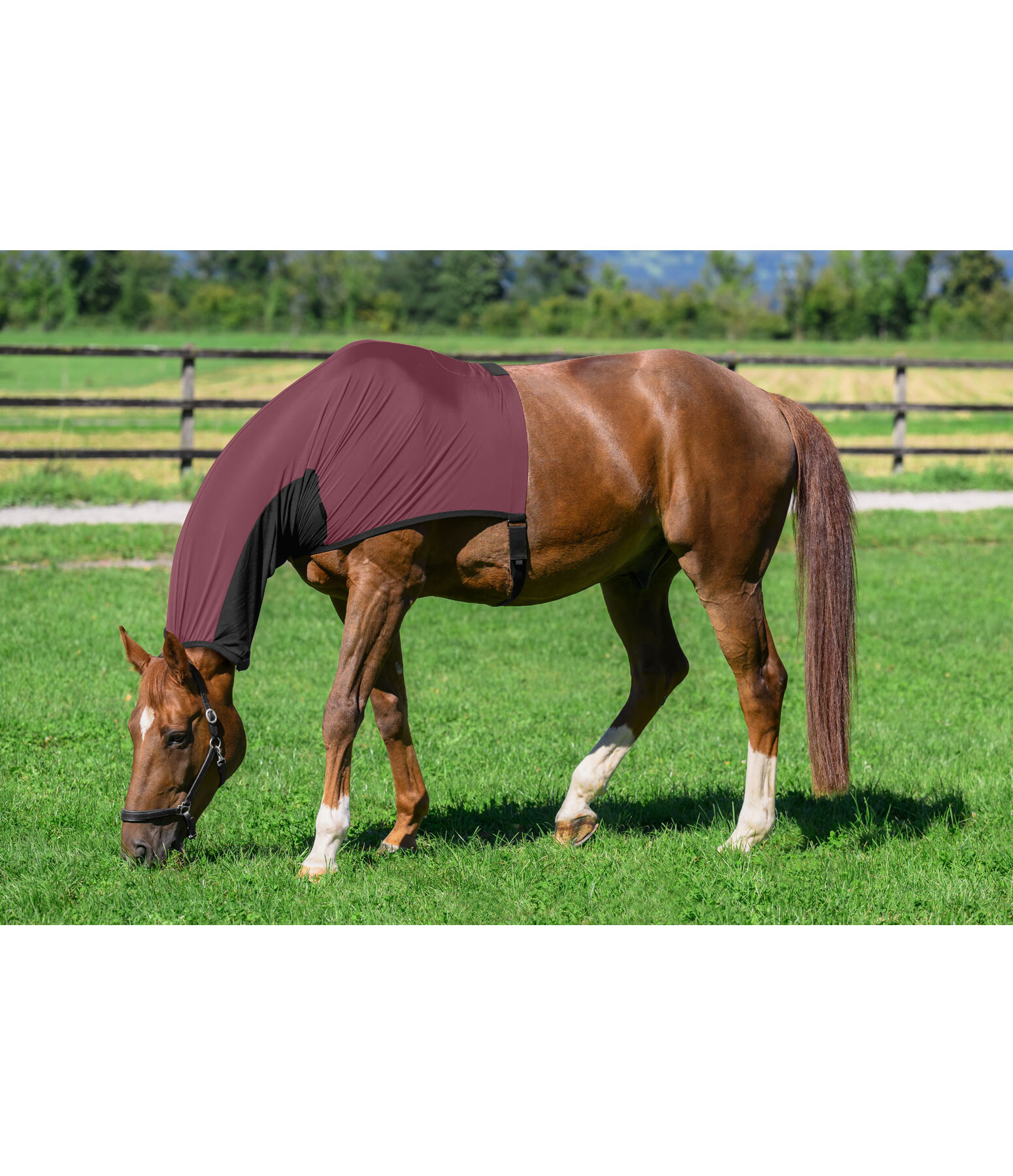 Protezione per collo antimosche & anti-eczema Stretch Comfort