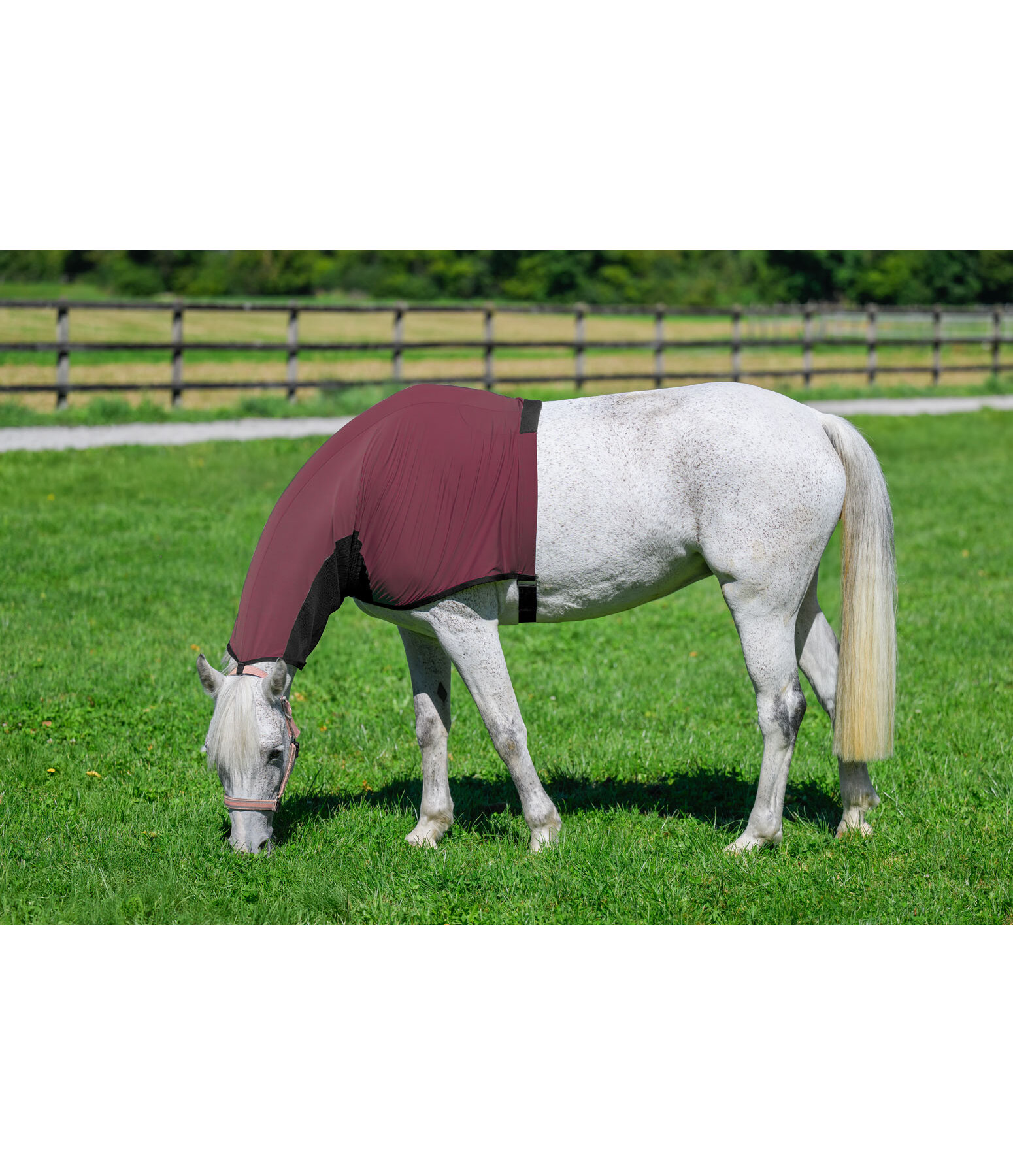 Protezione per collo antimosche & anti-eczema Stretch Comfort