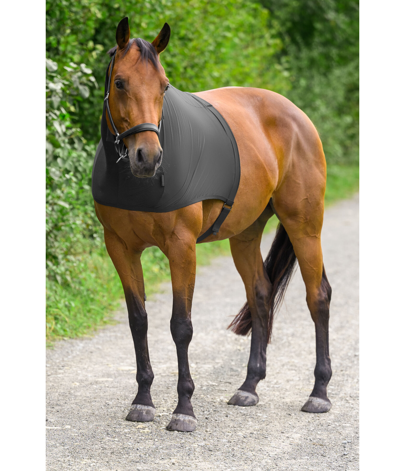 Protezione per collo antimosche & anti-eczema Stretch Comfort