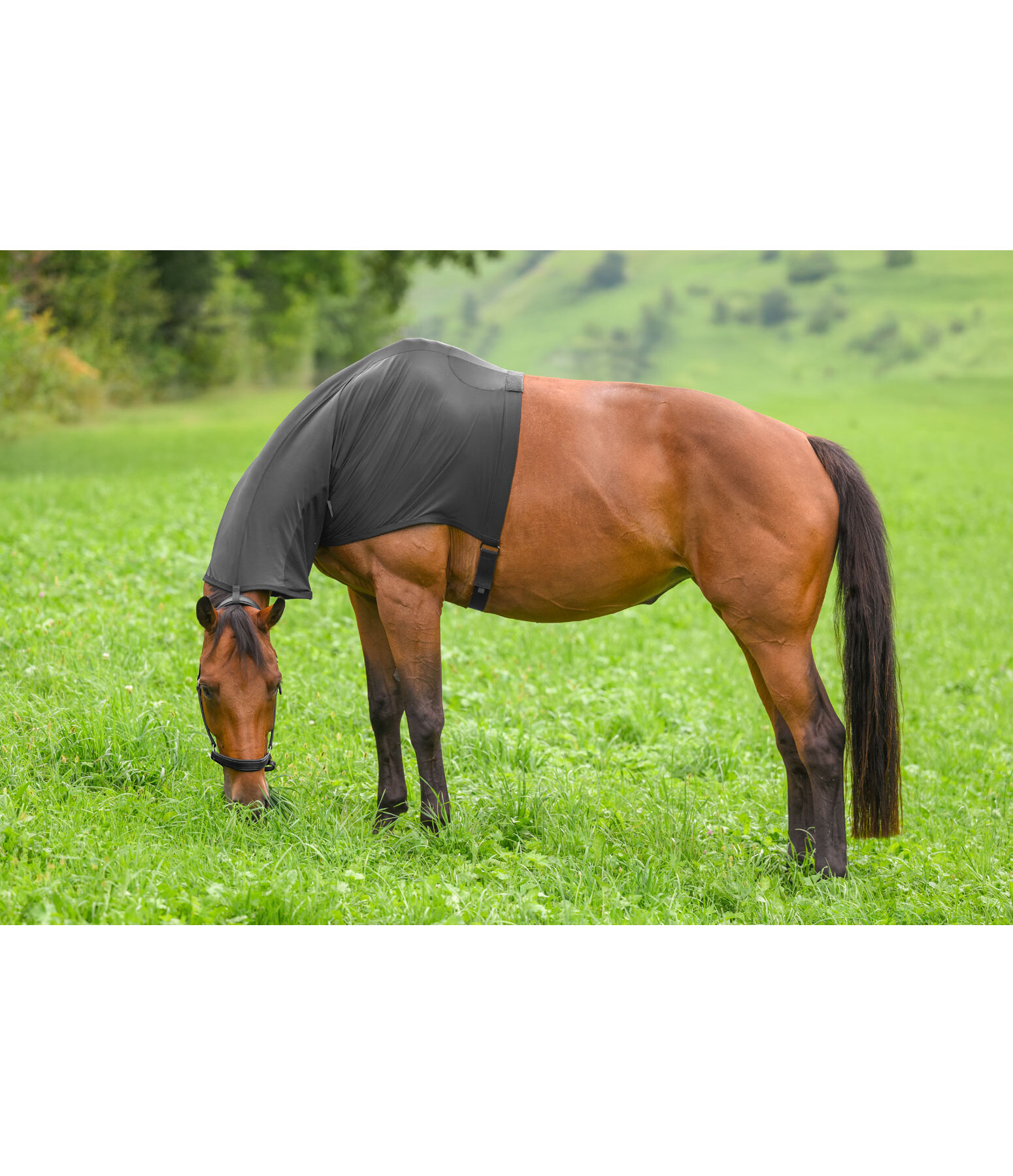 Protezione per collo antimosche & anti-eczema Stretch Comfort