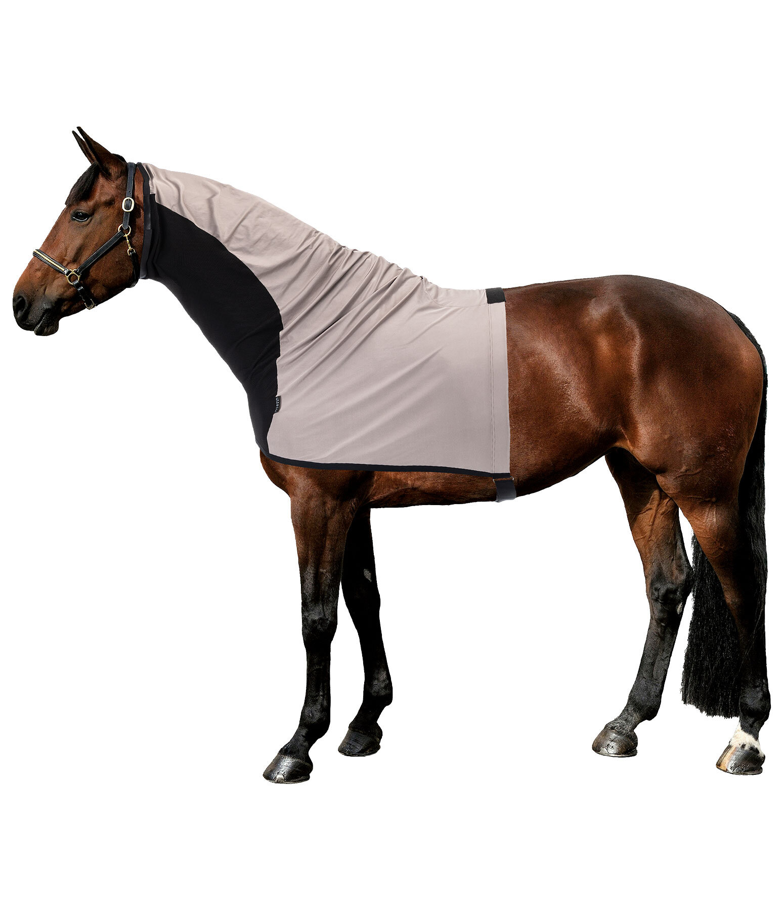 Protezione per collo antimosche & anti-eczema Stretch Comfort