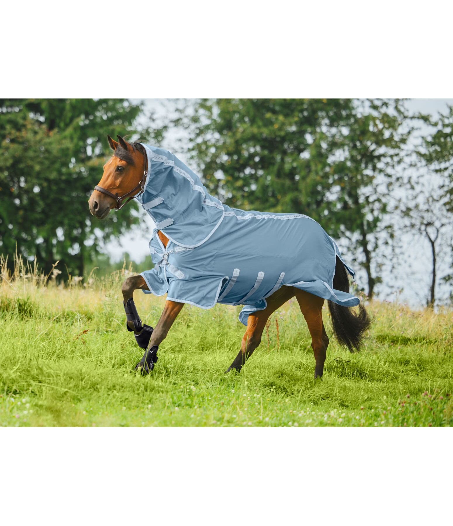 Coperta antimosche funzionale Cool Down