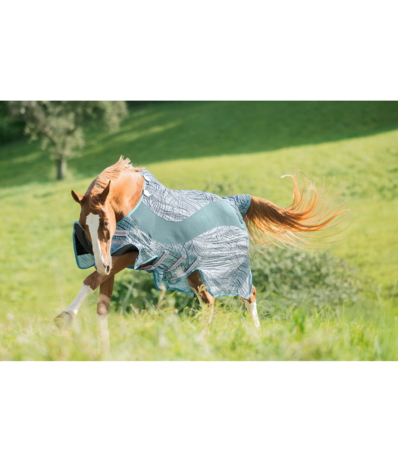 Coperta antimosche funzionale Confusion Fly