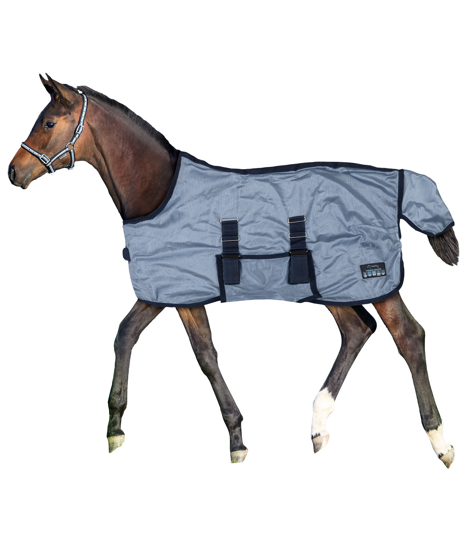 Coperta antimosche per puledri e Mini Shetland Kubi Fly