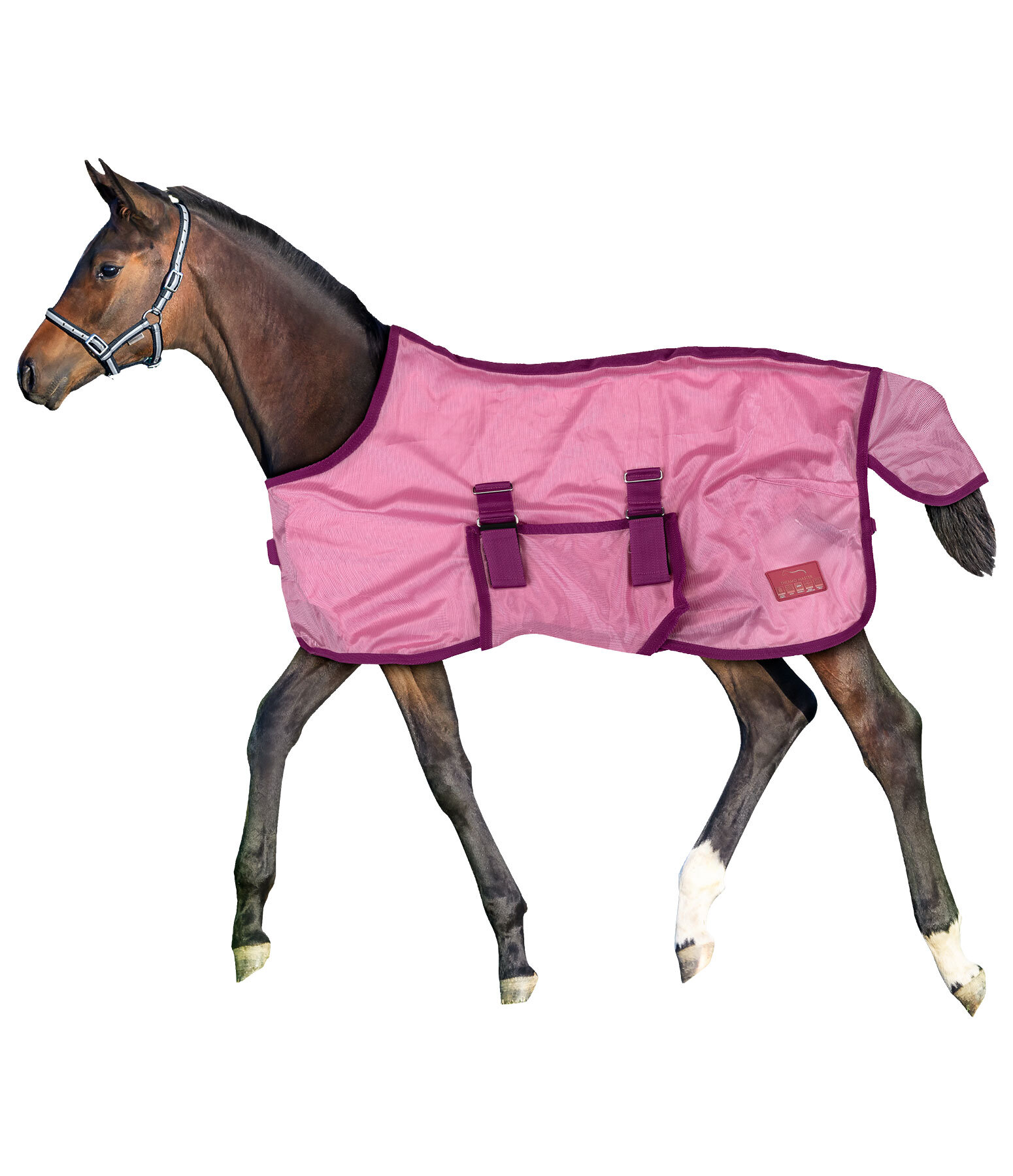 Coperta antimosche per puledri e Mini Shetland Kubi Fly