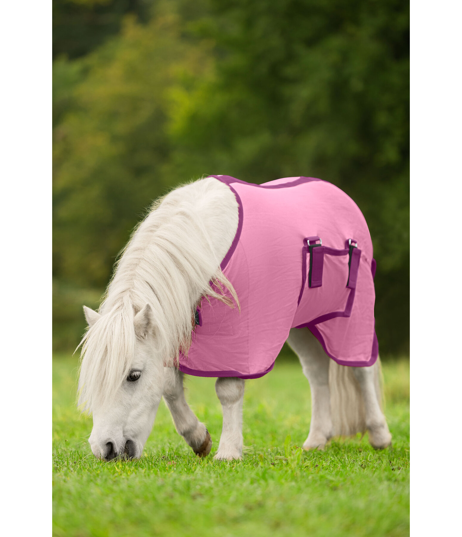 Coperta antimosche per puledri e Mini Shetland Kubi Fly