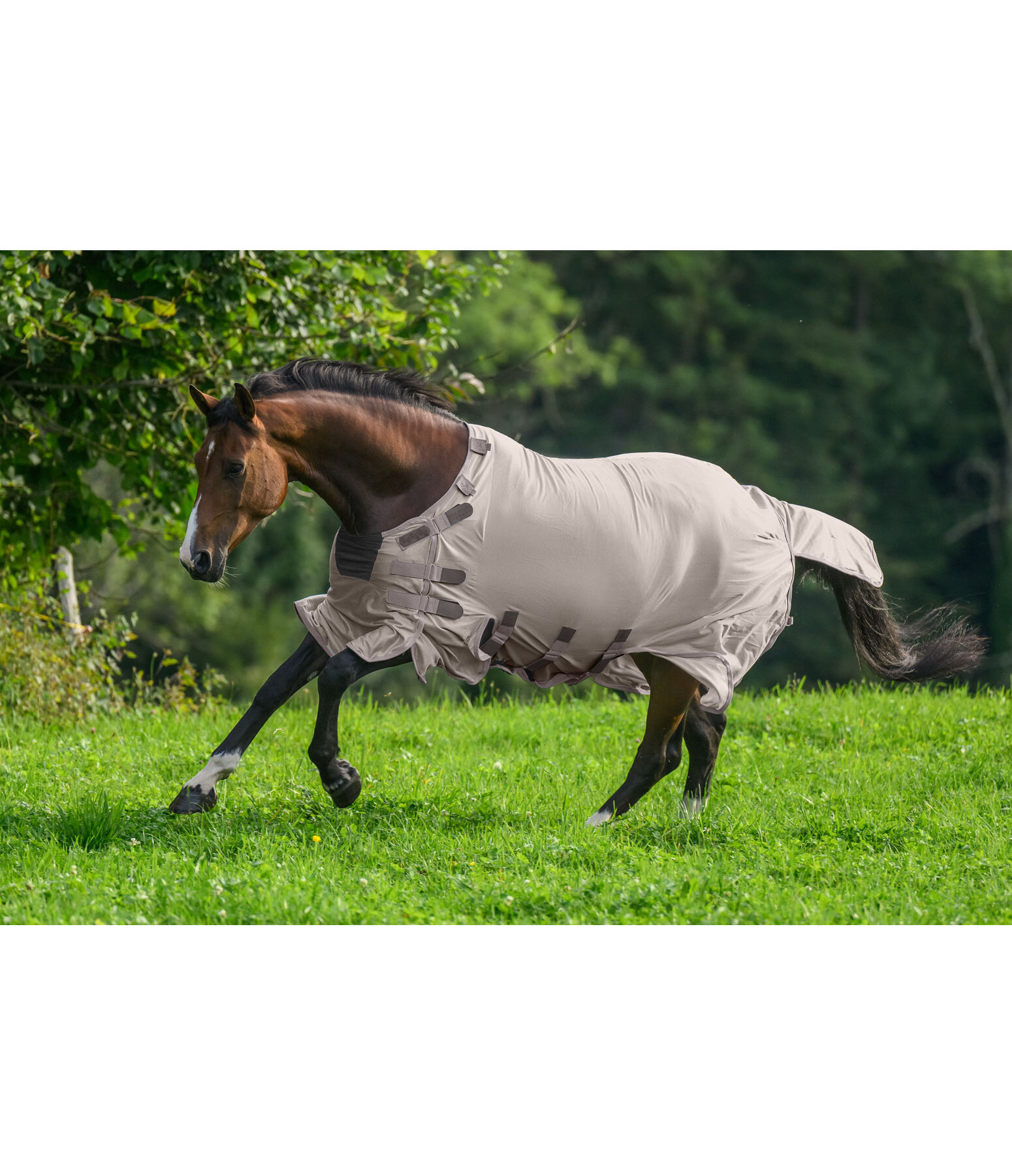 Coperta antimosche Ultimate Protection con collo rimovibile