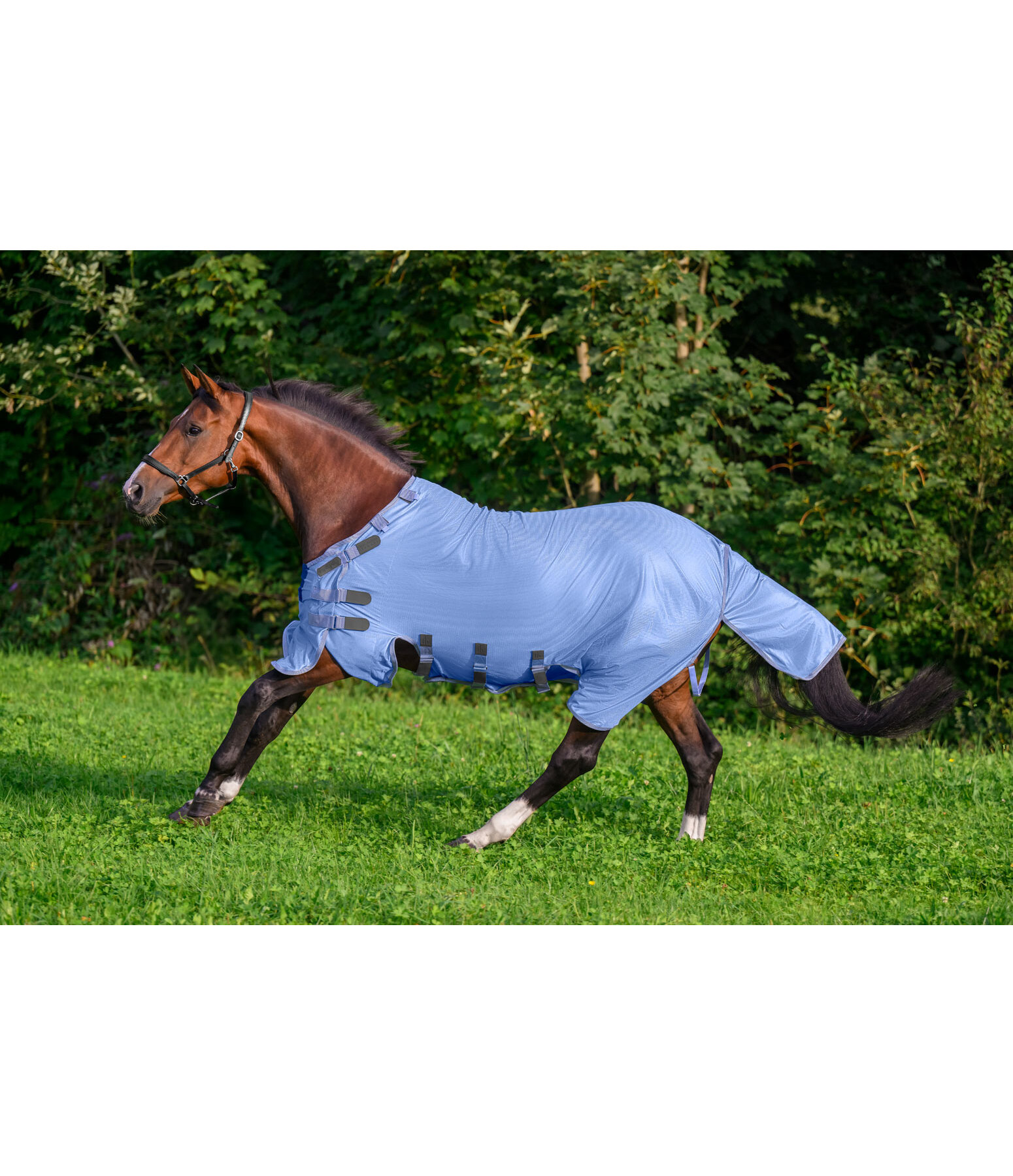 Coperta antimosche Ultimate Protection con collo rimovibile