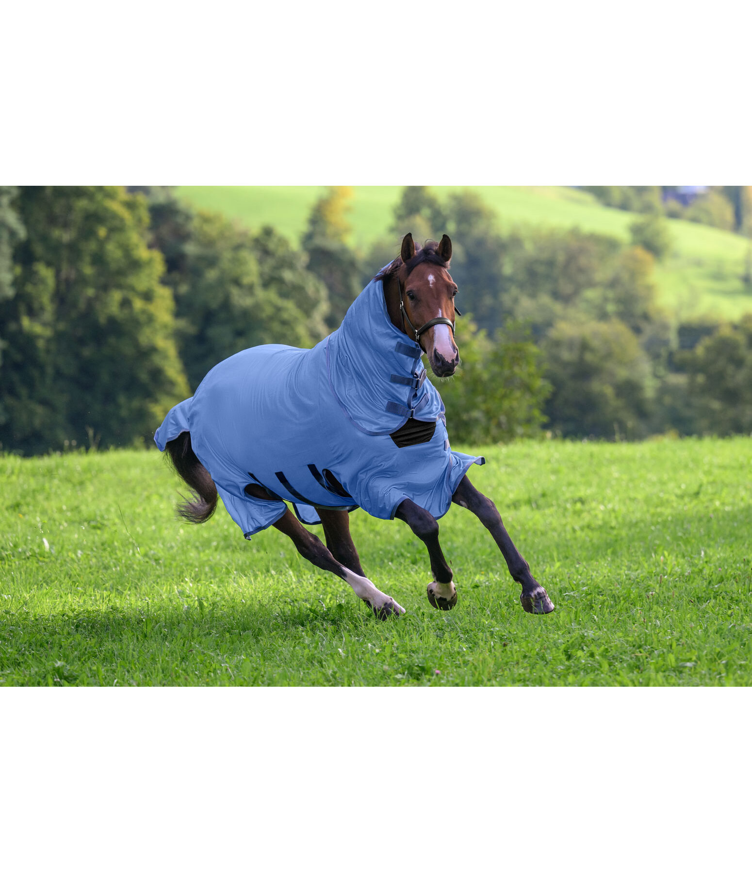 Coperta antimosche Ultimate Protection con collo rimovibile