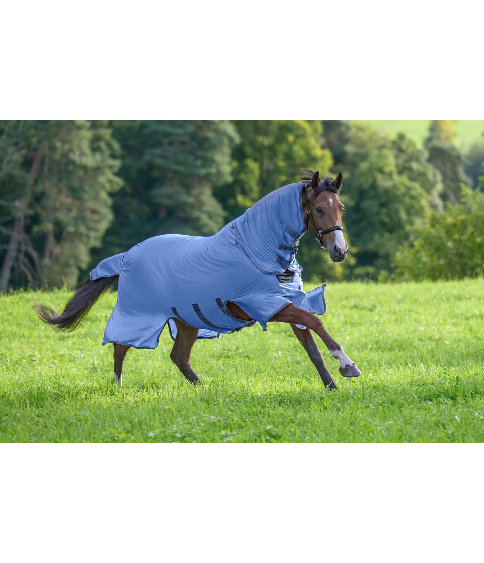 Coperta antimosche Ultimate Protection con collo rimovibile