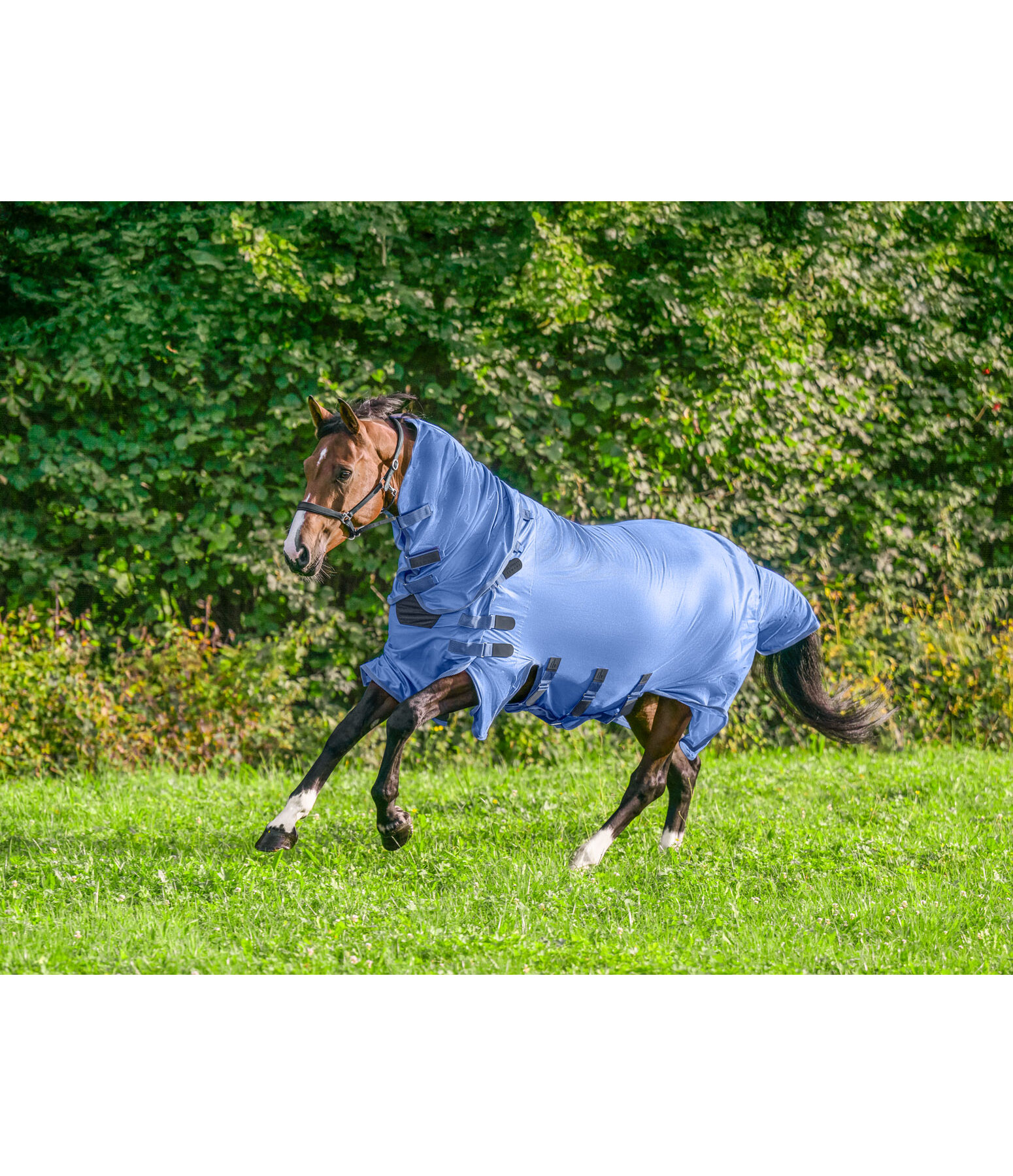 Coperta antimosche Ultimate Protection con collo rimovibile
