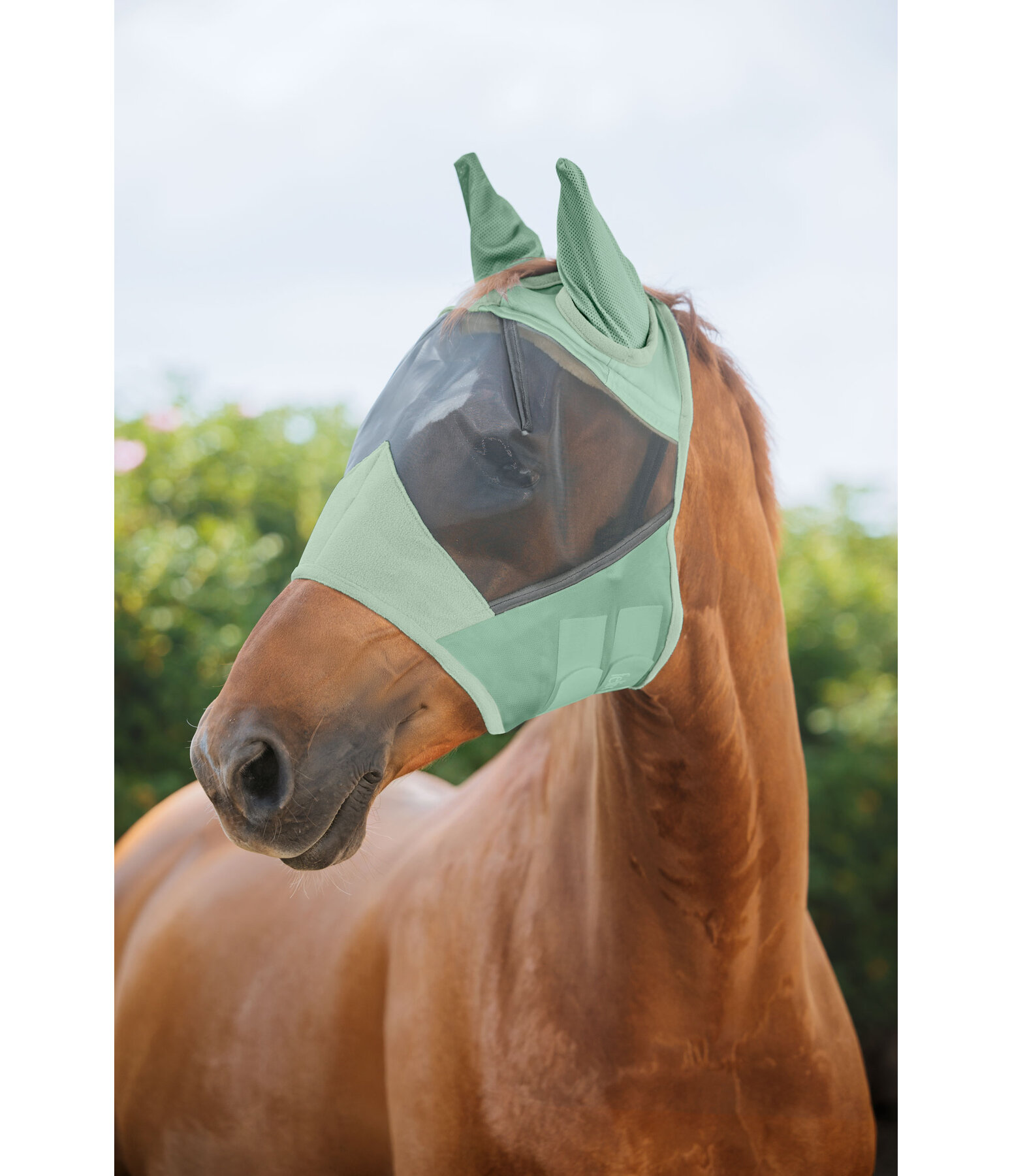 Maschera antimosche Basic