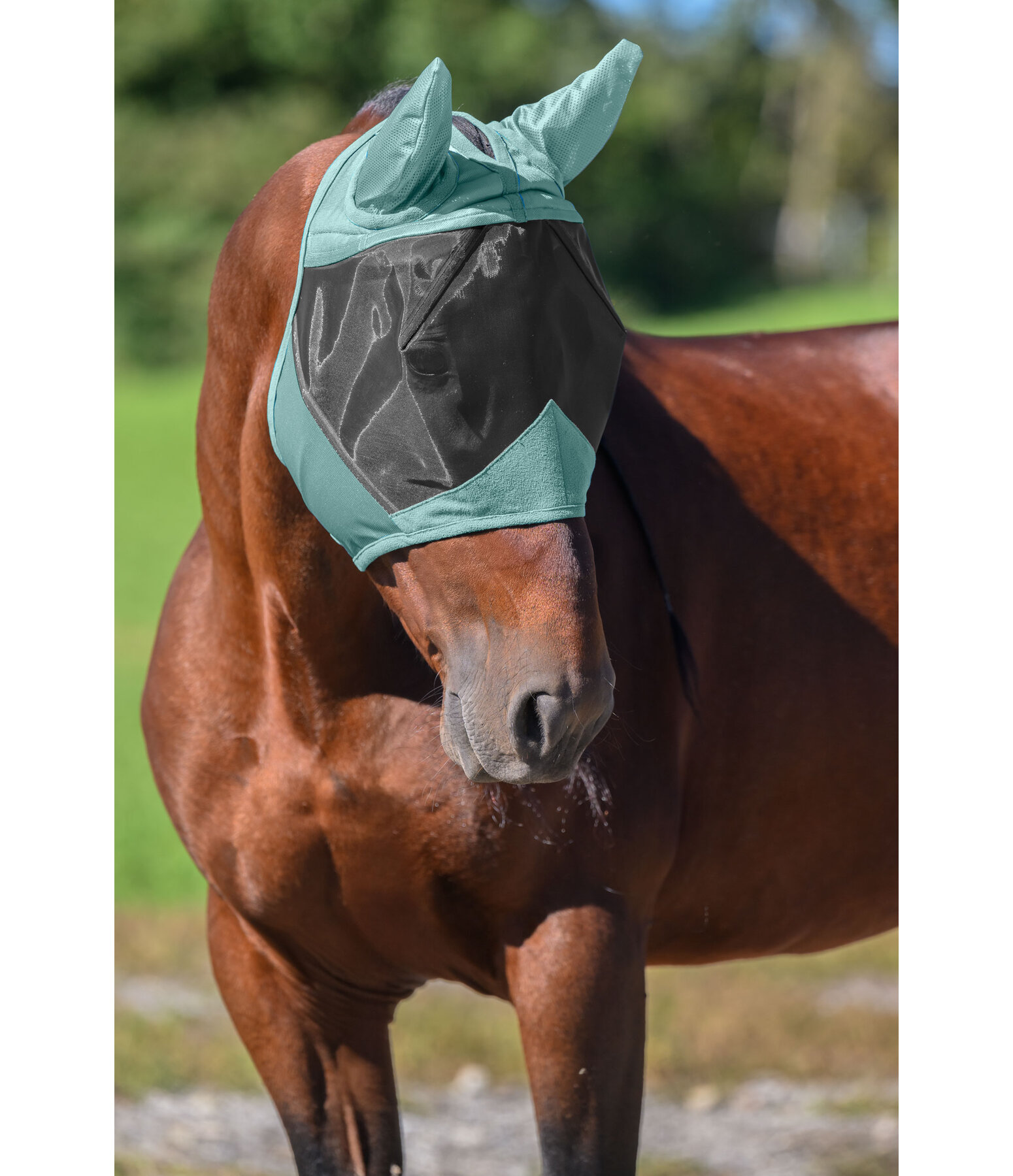 Maschera antimosche Basic