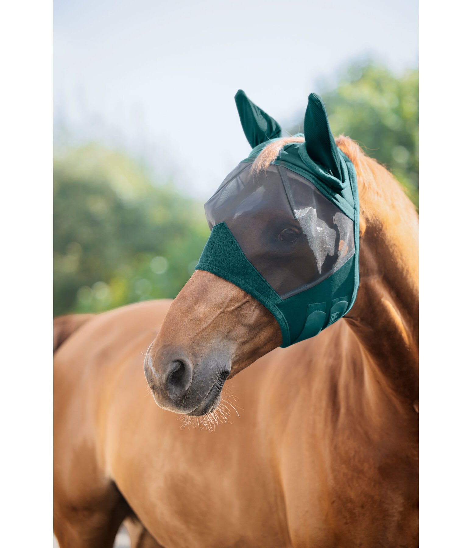 Maschera antimosche Basic