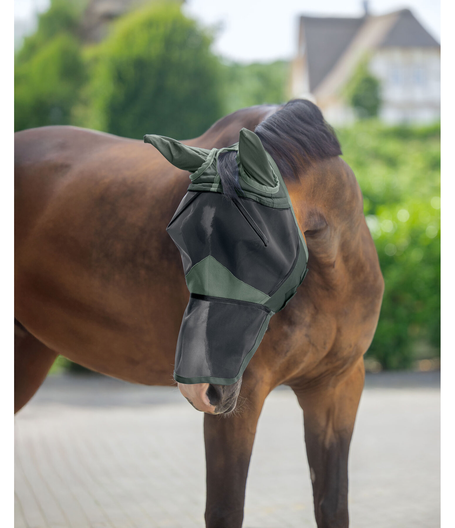 Maschera antimosche Basic con protezione per froge