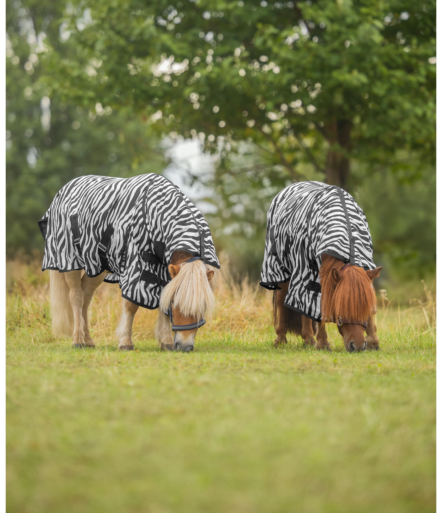 Coperta antimosche Zebra Combo