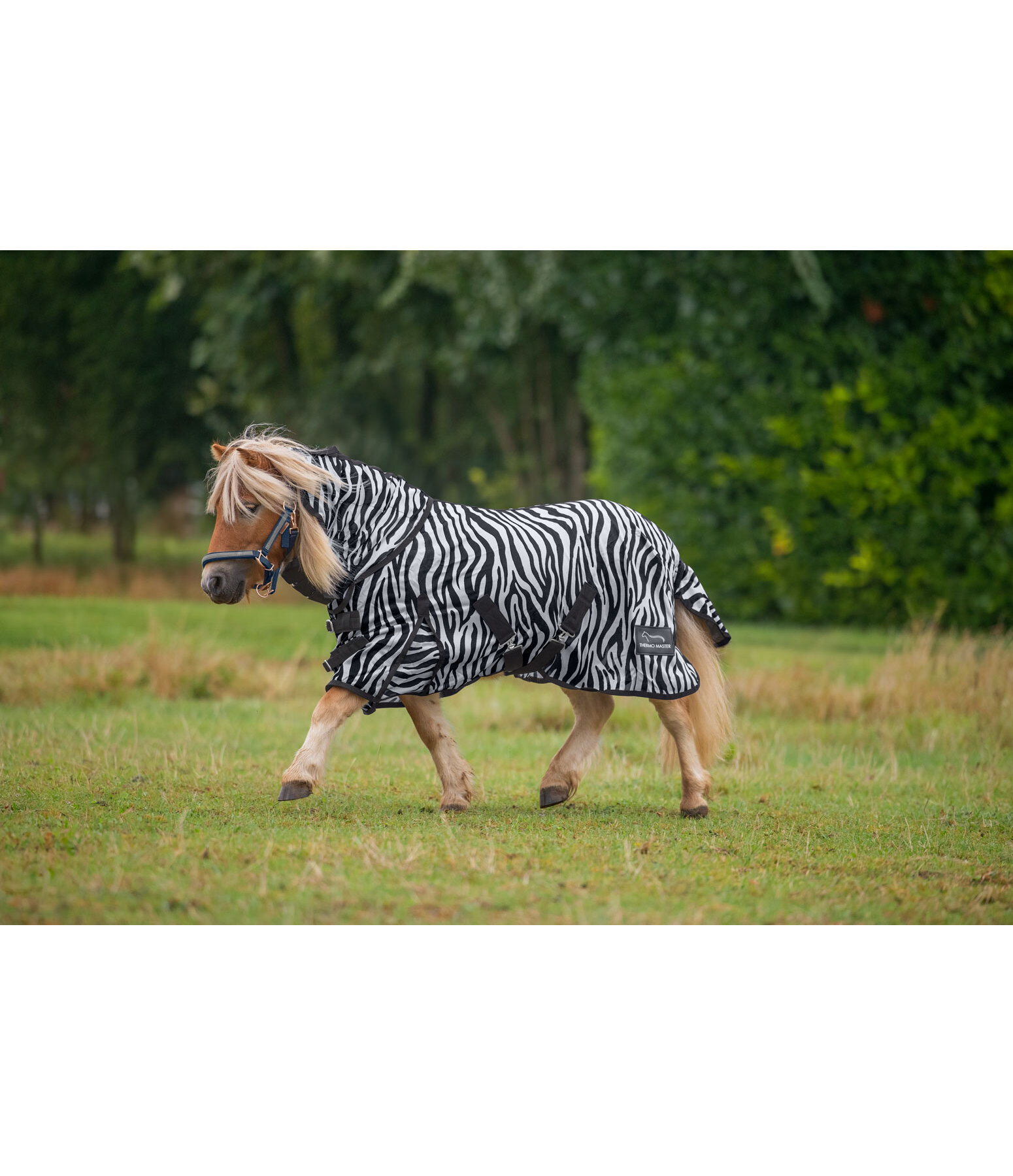 Coperta antimosche Zebra Combo
