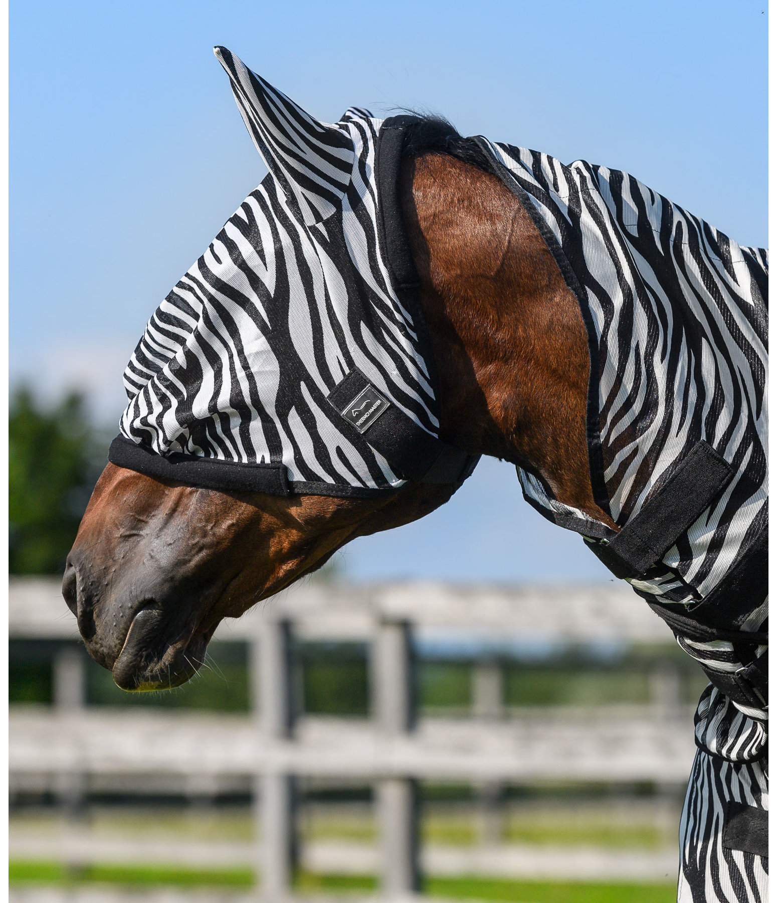 Maschera antimosche Zebra