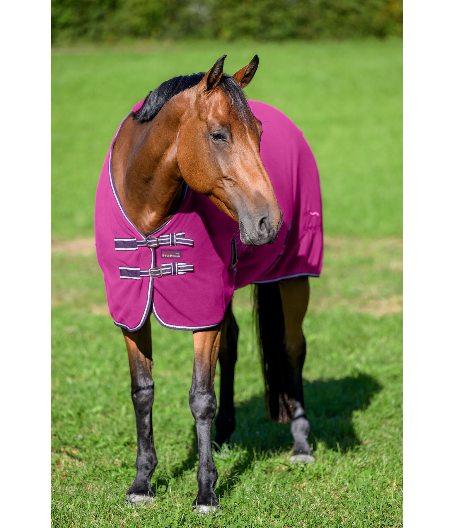 Coperta in pile Activity