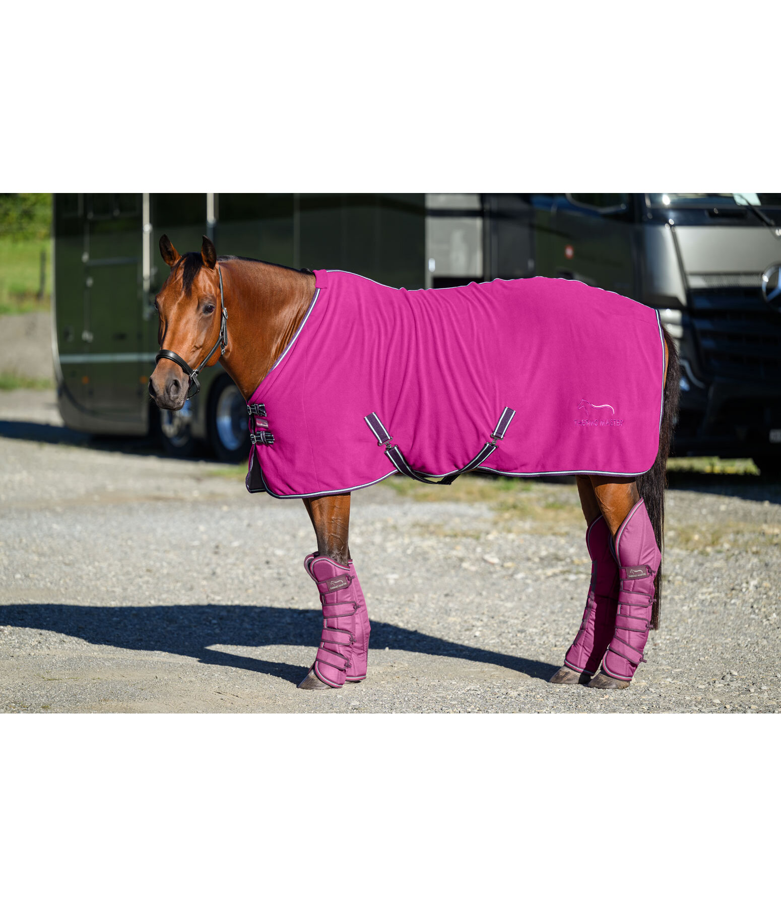 Coperta in pile Activity