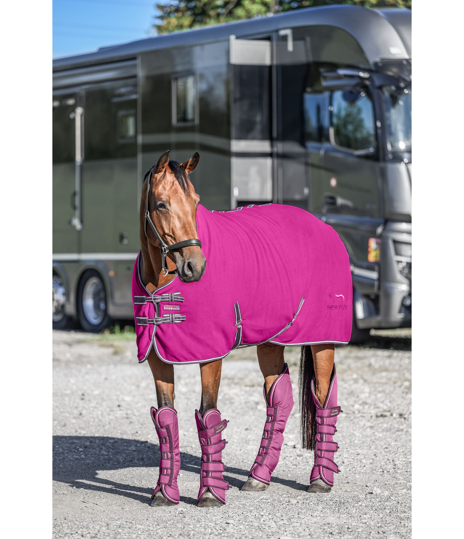 Coperta in pile Activity