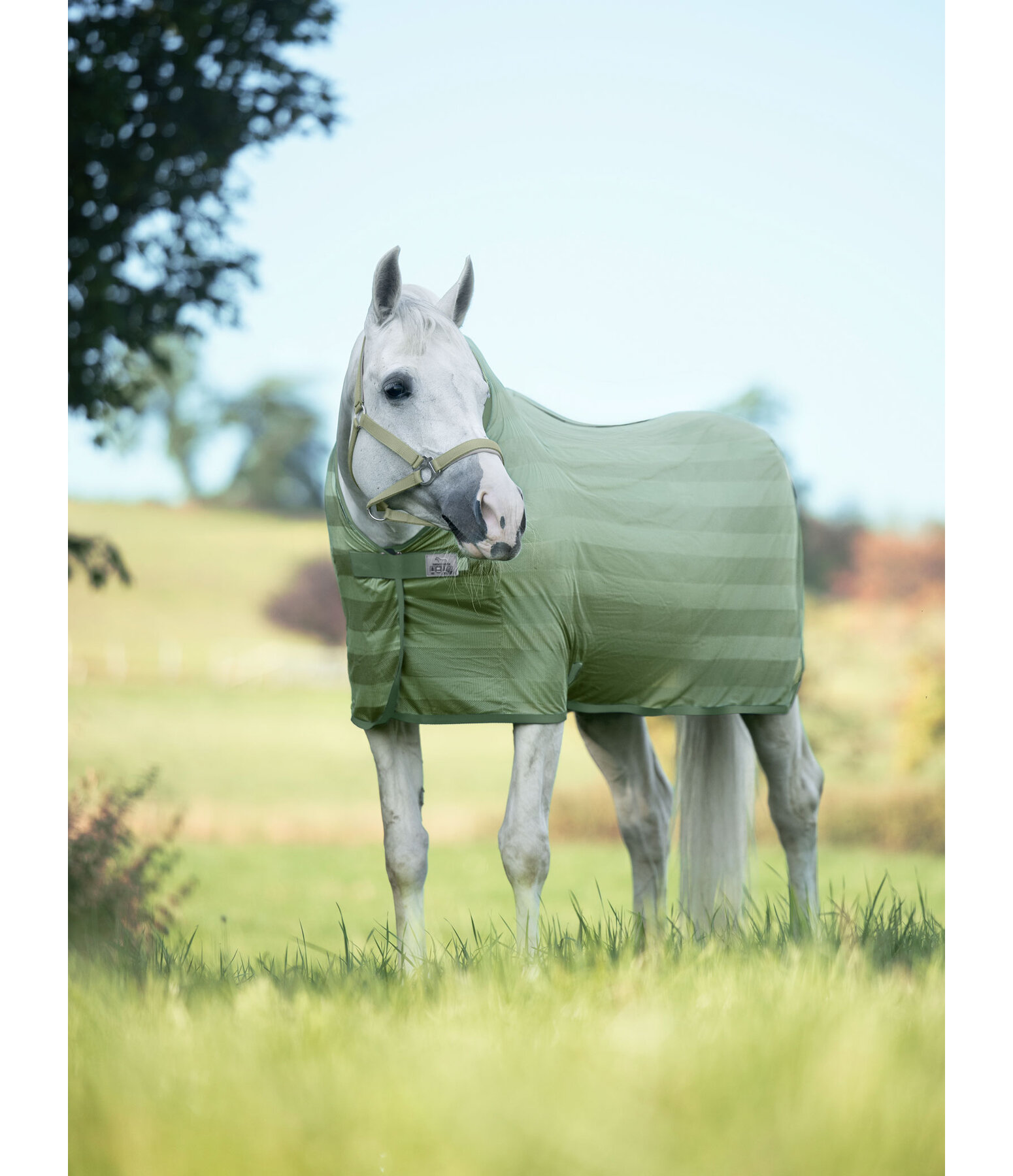 Coperta antimosche Economy Light