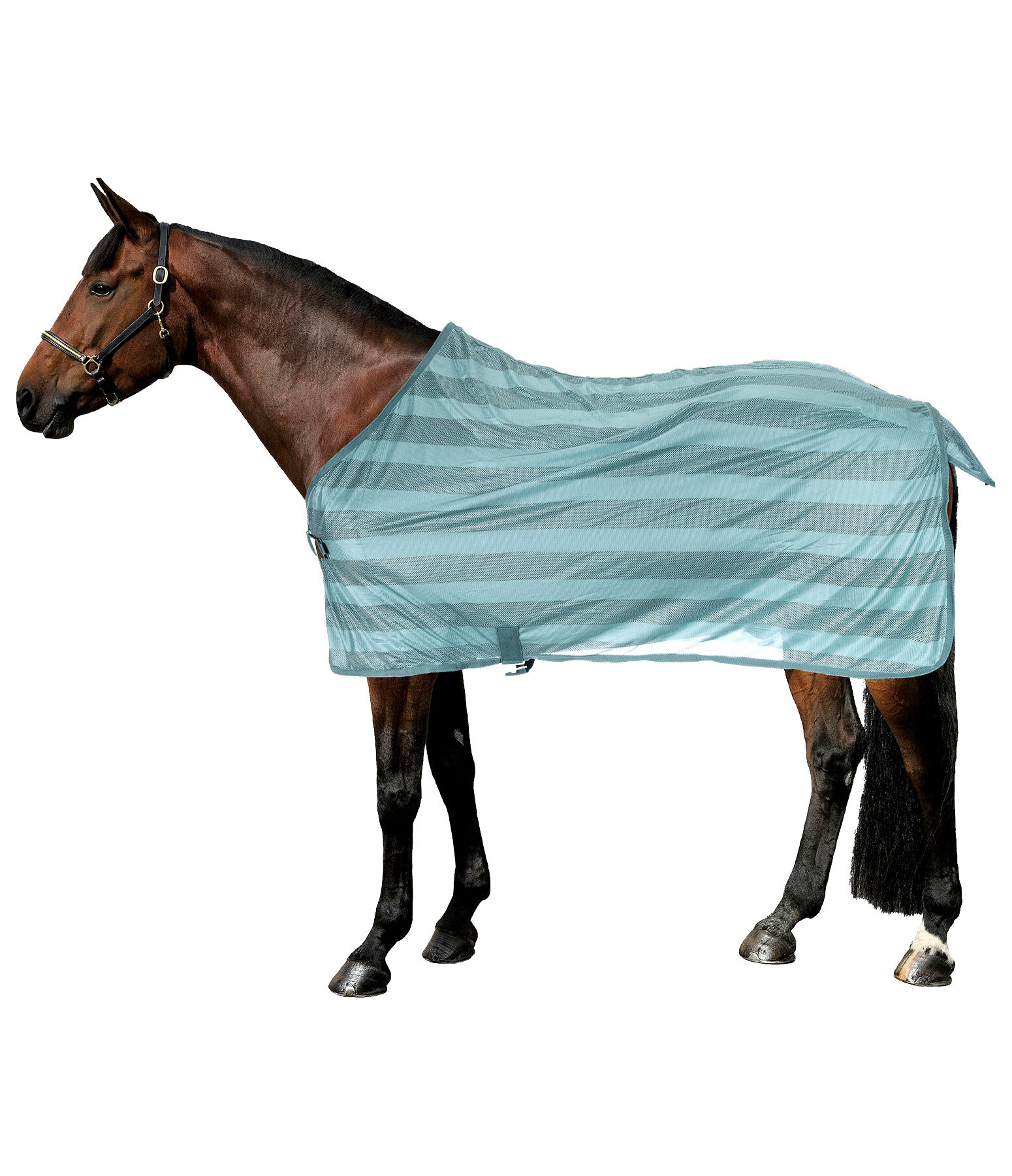 Coperta antimosche Economy Light
