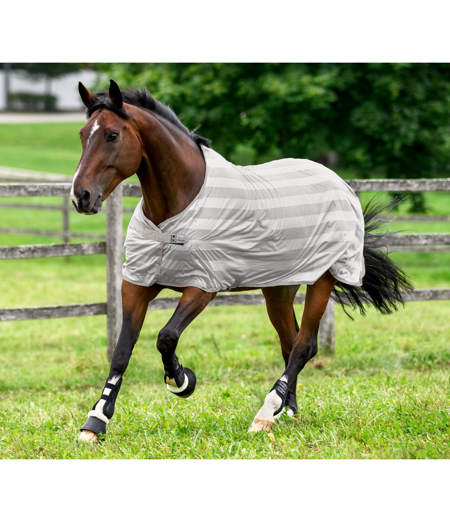 Coperta antimosche Economy Light