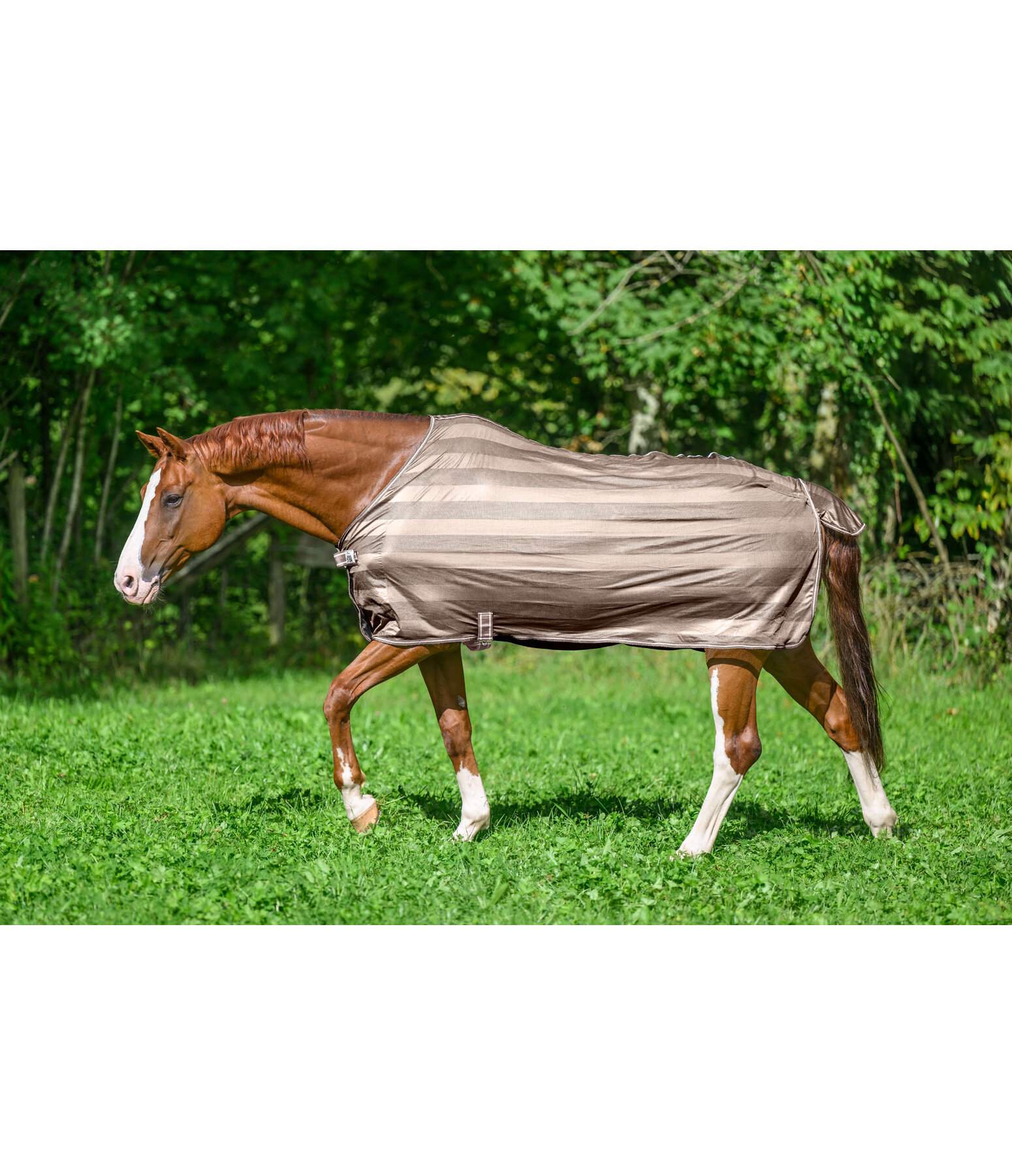 Coperta antimosche Economy Light