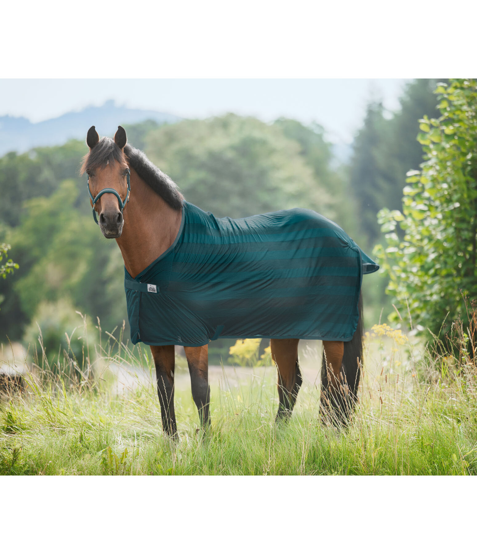 Coperta antimosche Economy Light