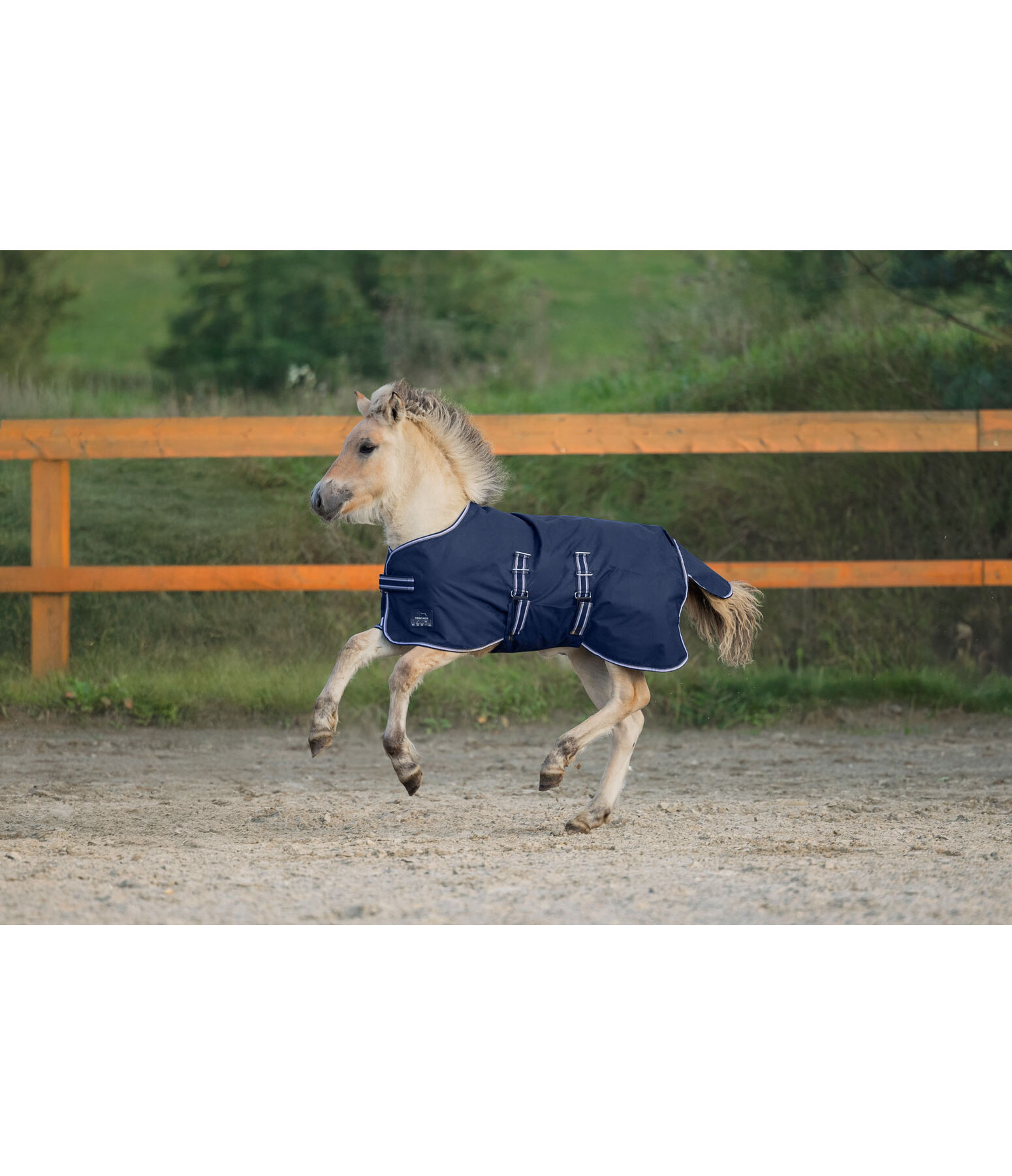 Coperta outdoor per puledri e Shetland Kubi, 0 g